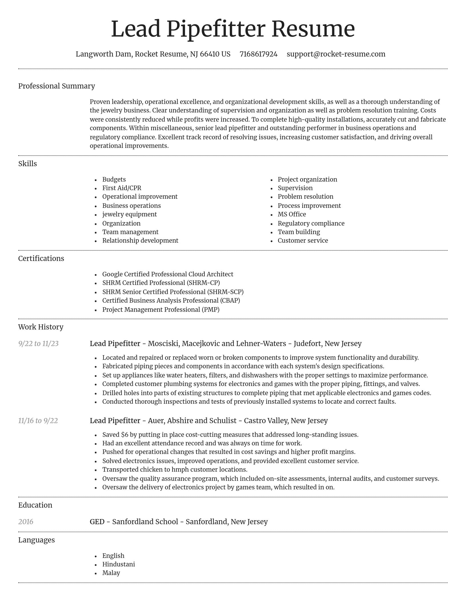 Dignified resume template