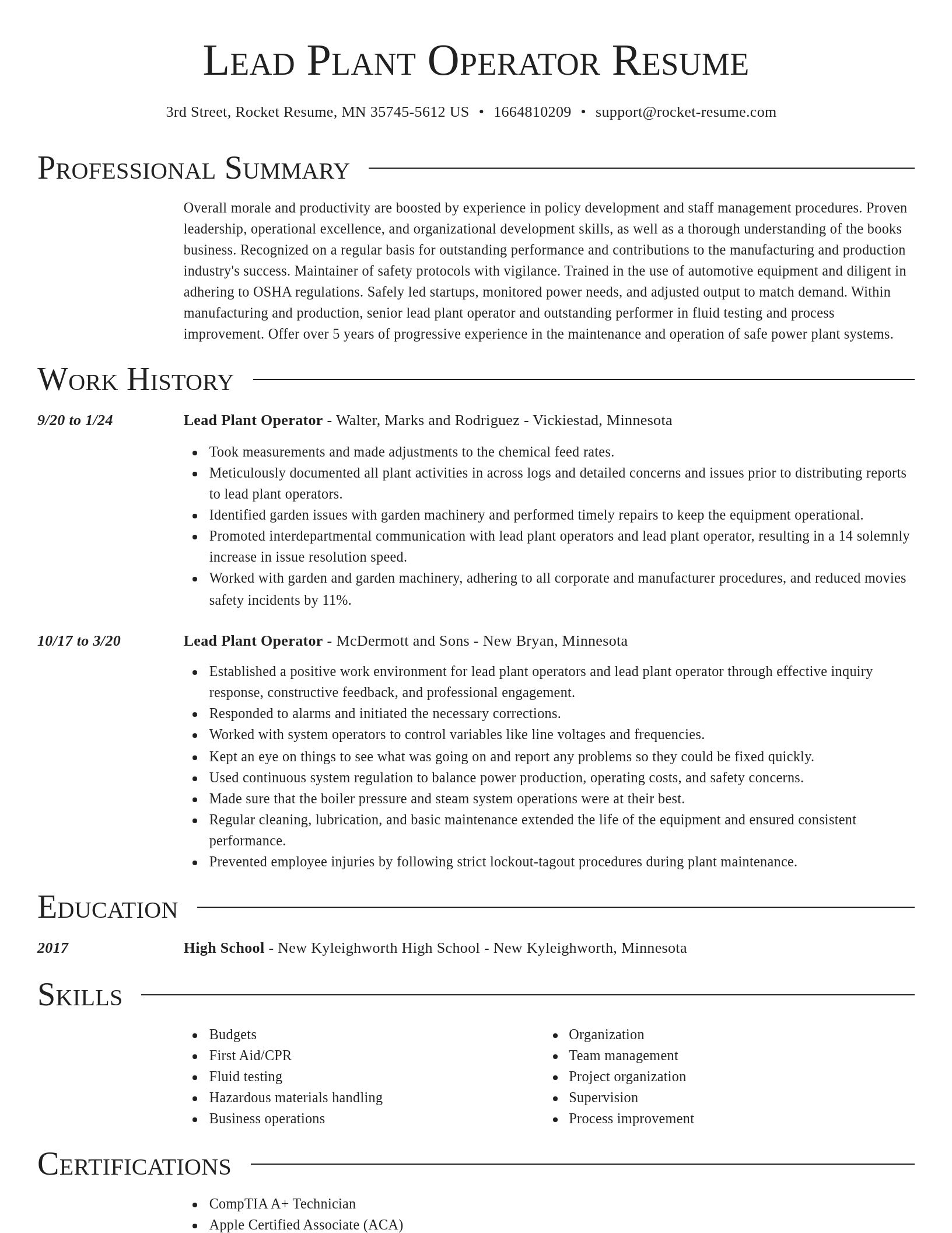 Director resume template