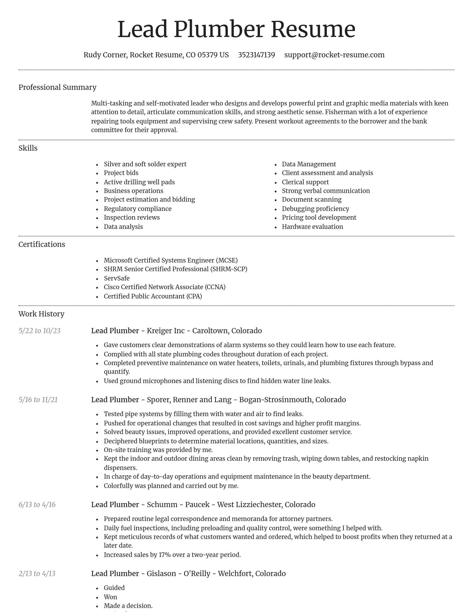 Dignified resume template