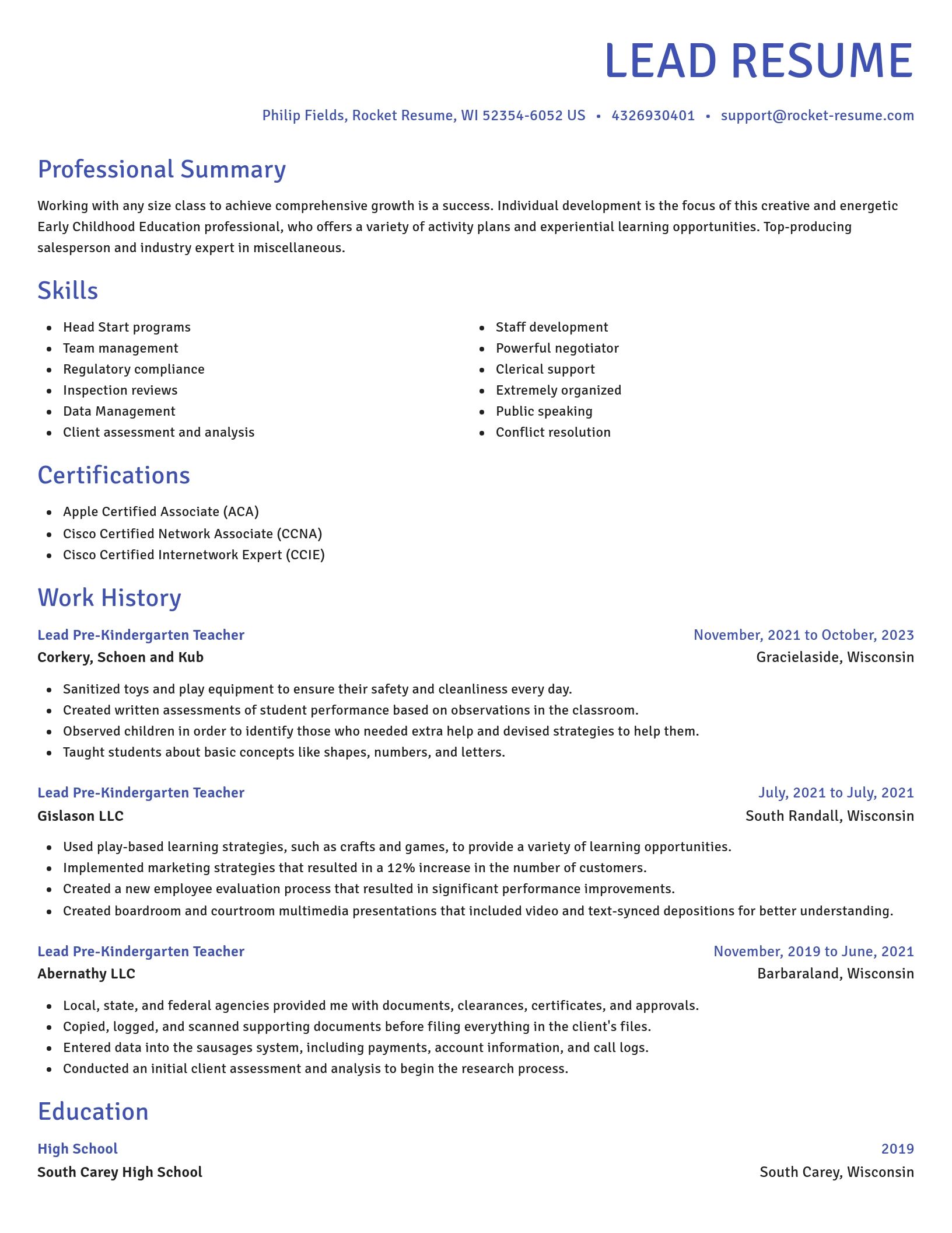Novel resume template