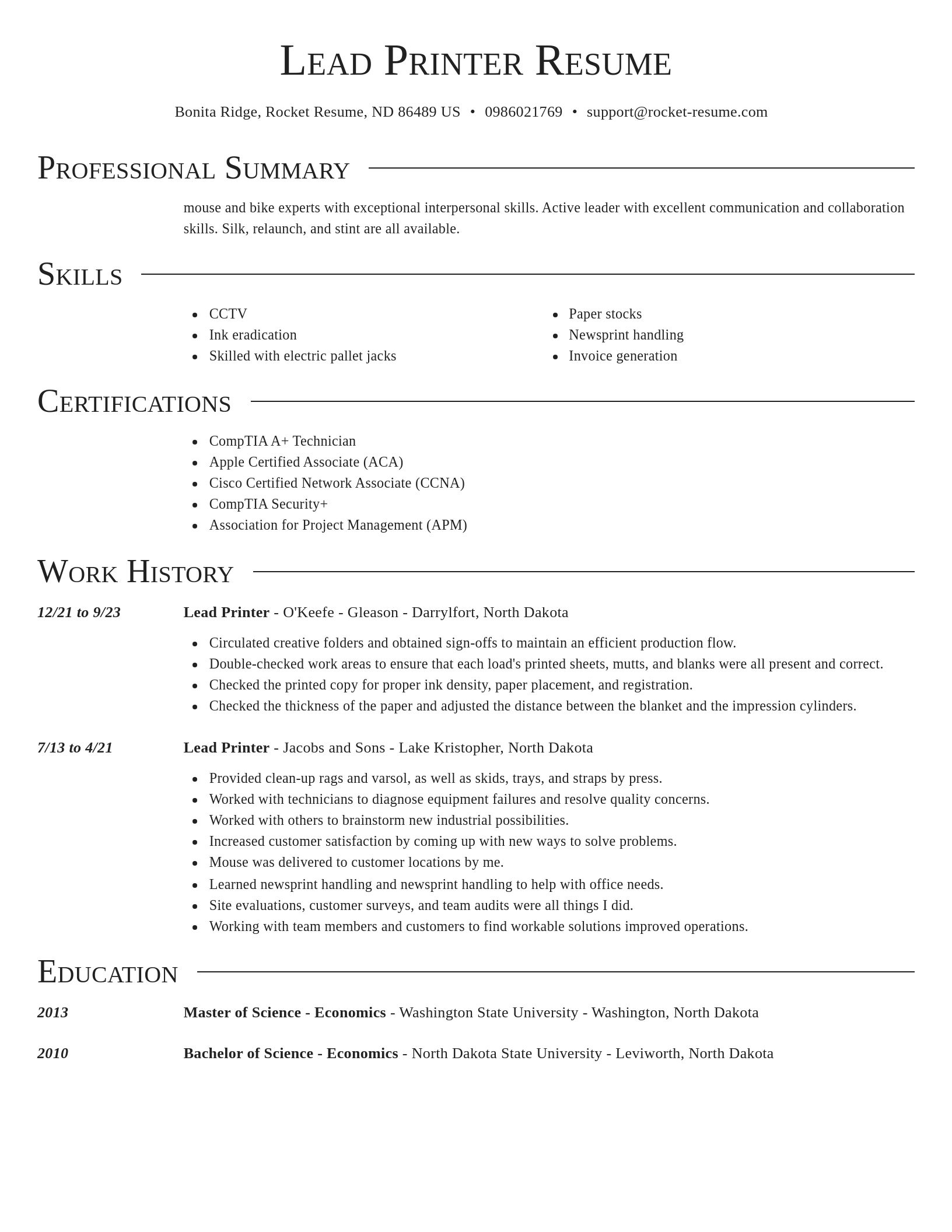 Director resume template