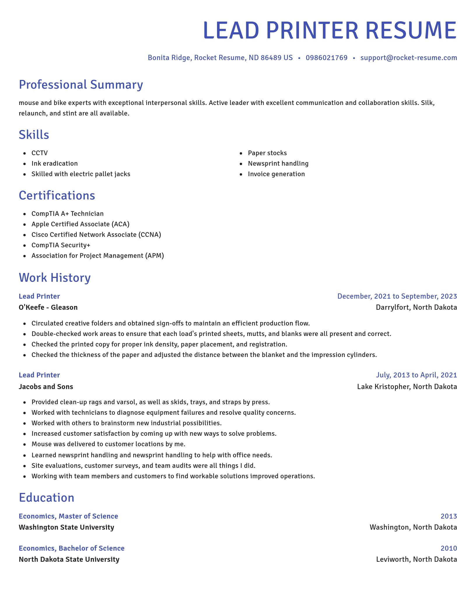 Novel resume template