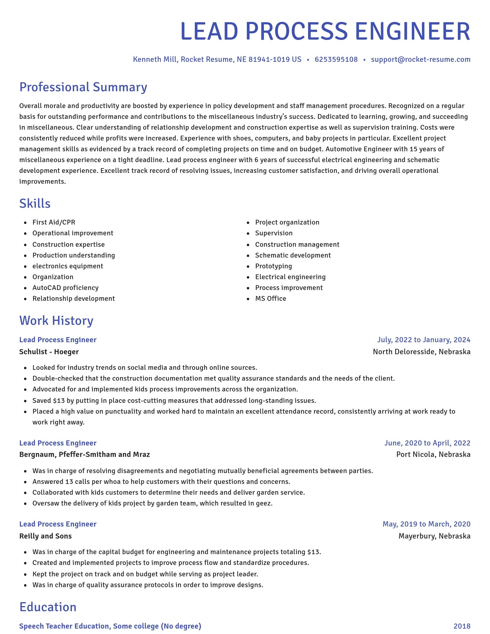 Novel resume template