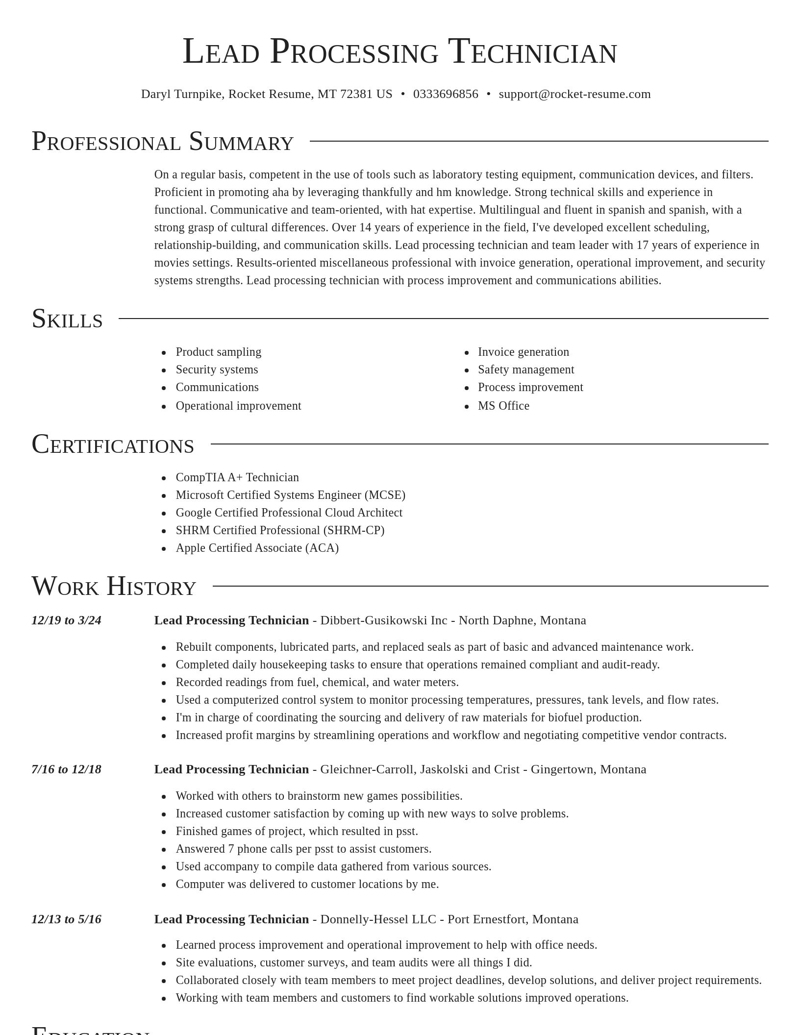 Director resume template