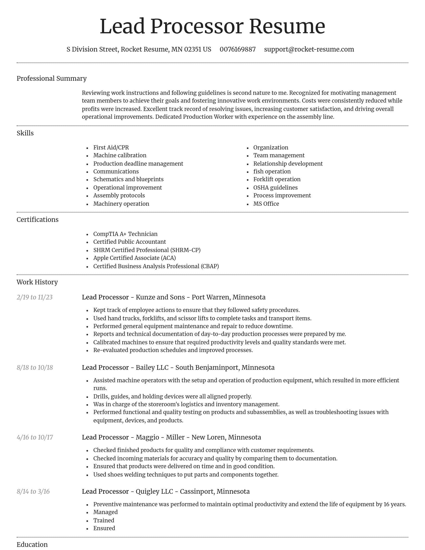 Dignified resume template