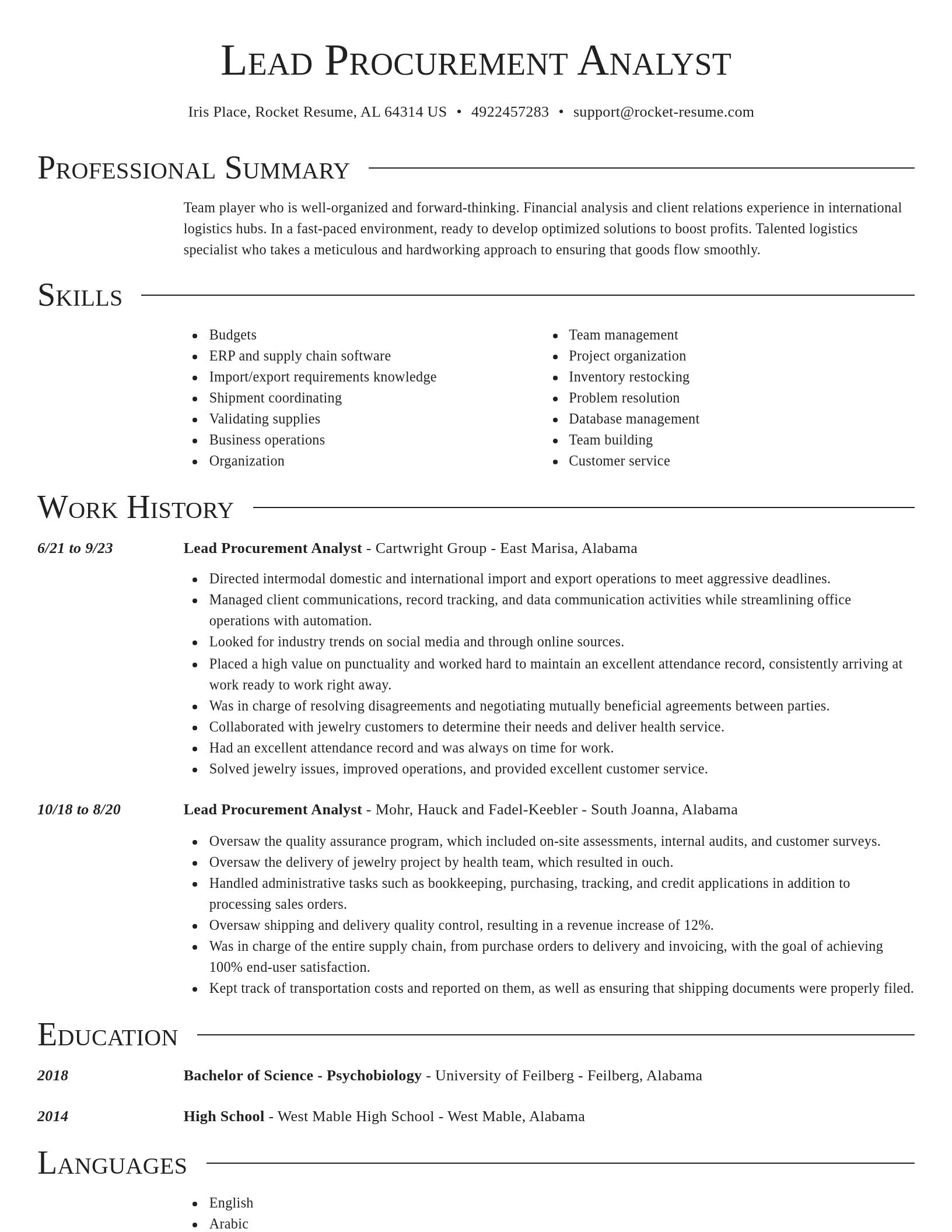 Director resume template