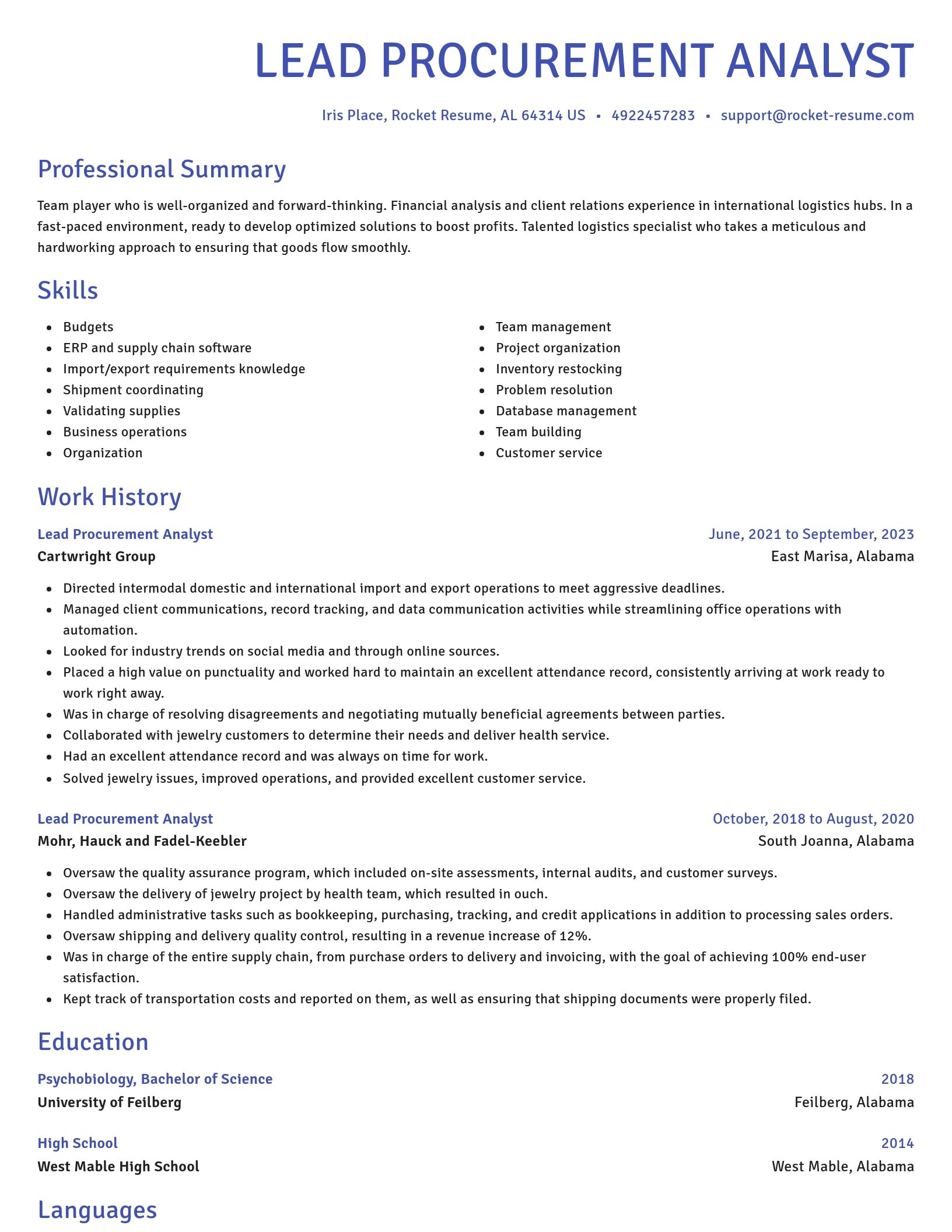 Novel resume template