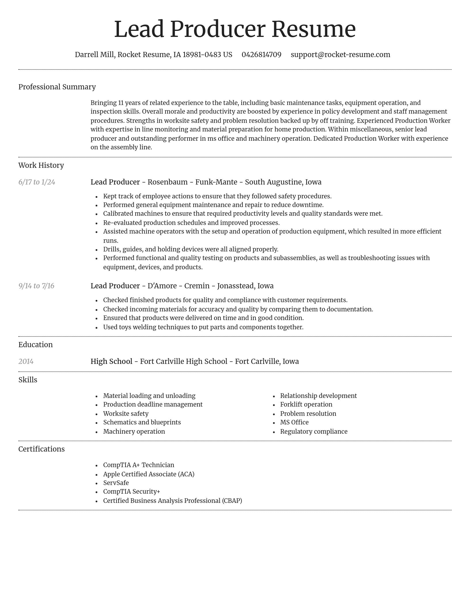 Dignified resume template