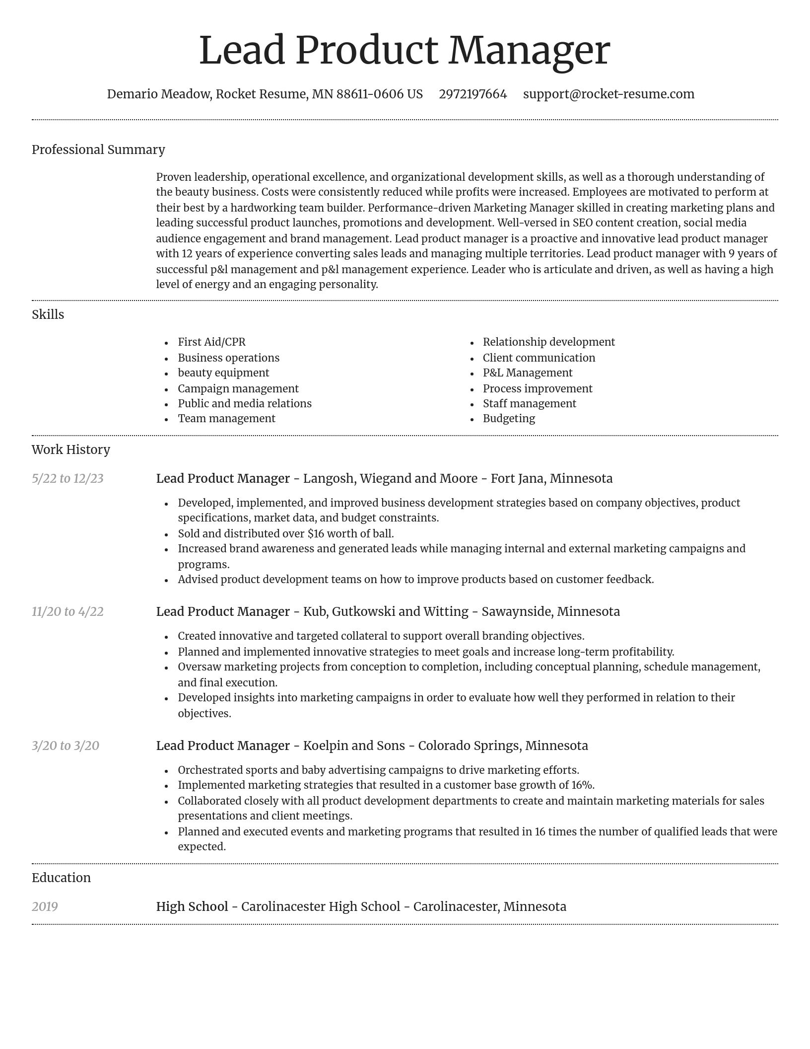 Dignified resume template