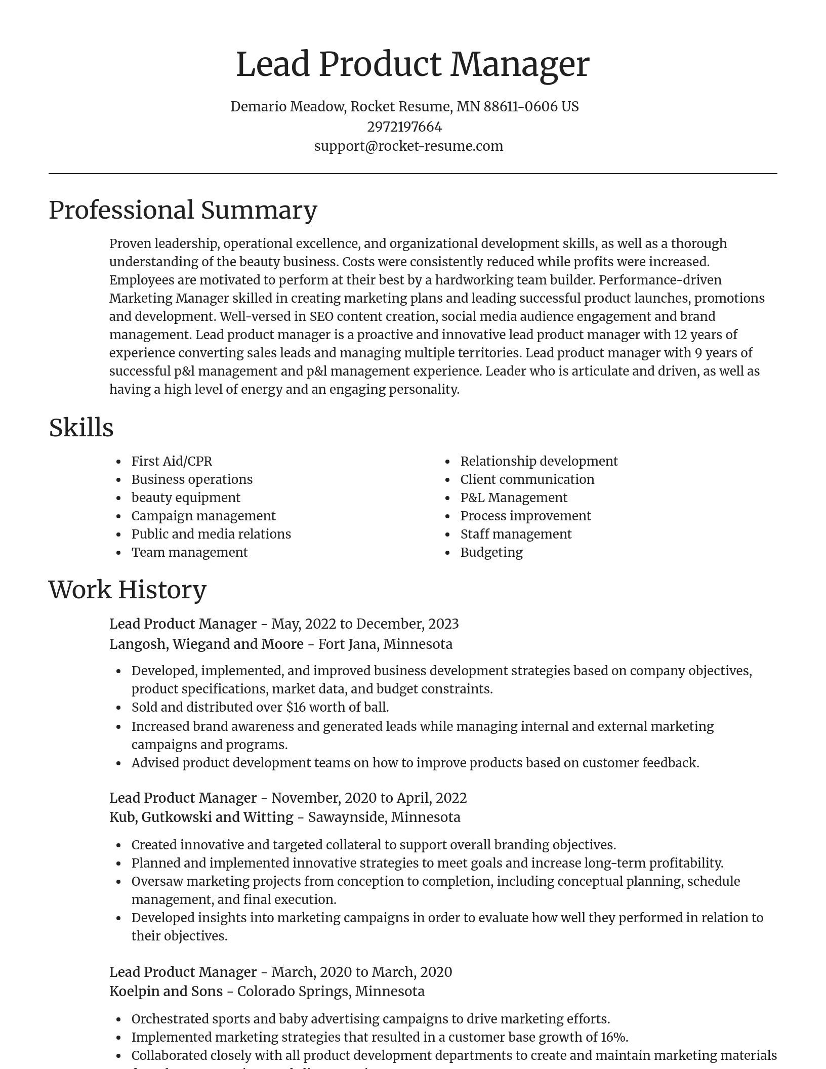 Focal Point resume template