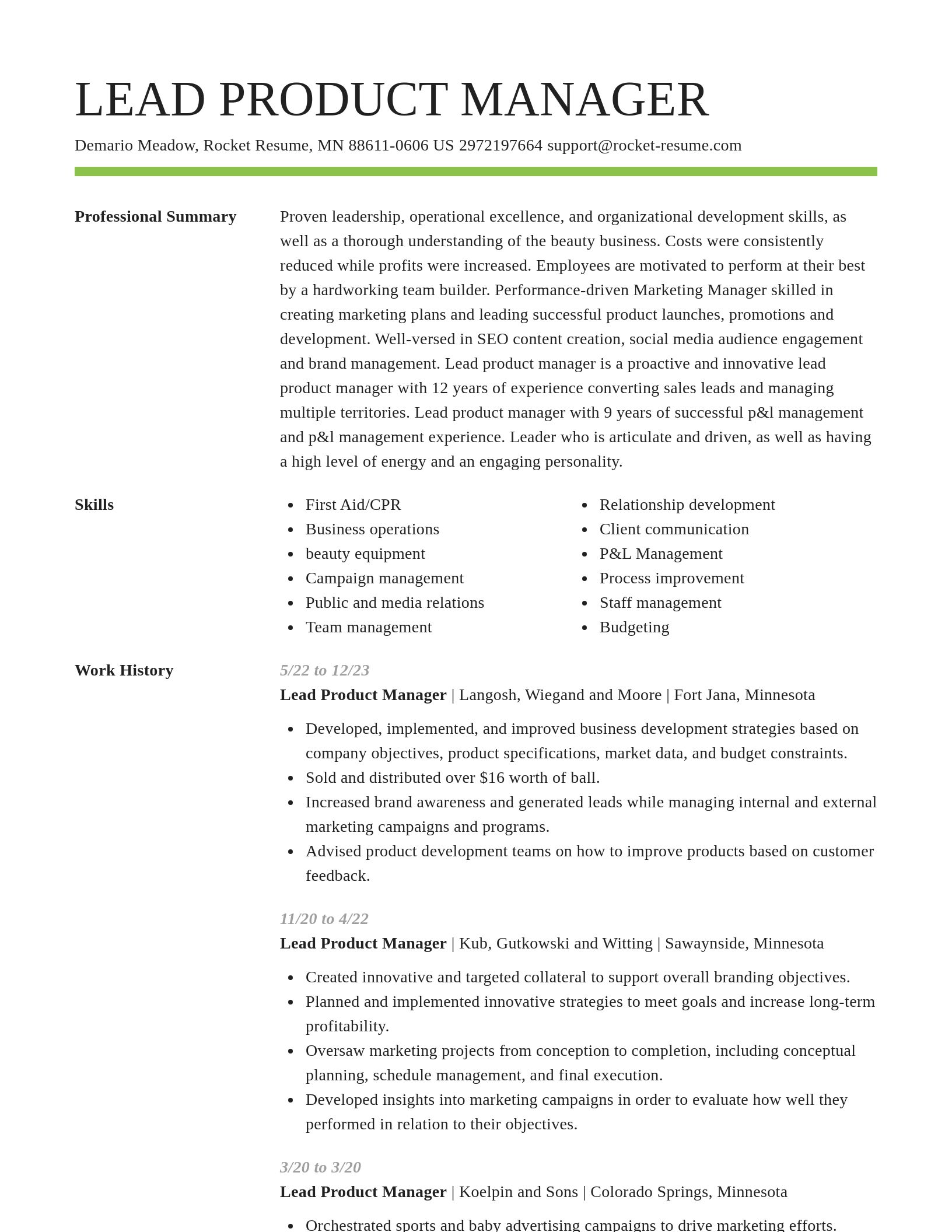 Smart resume template
