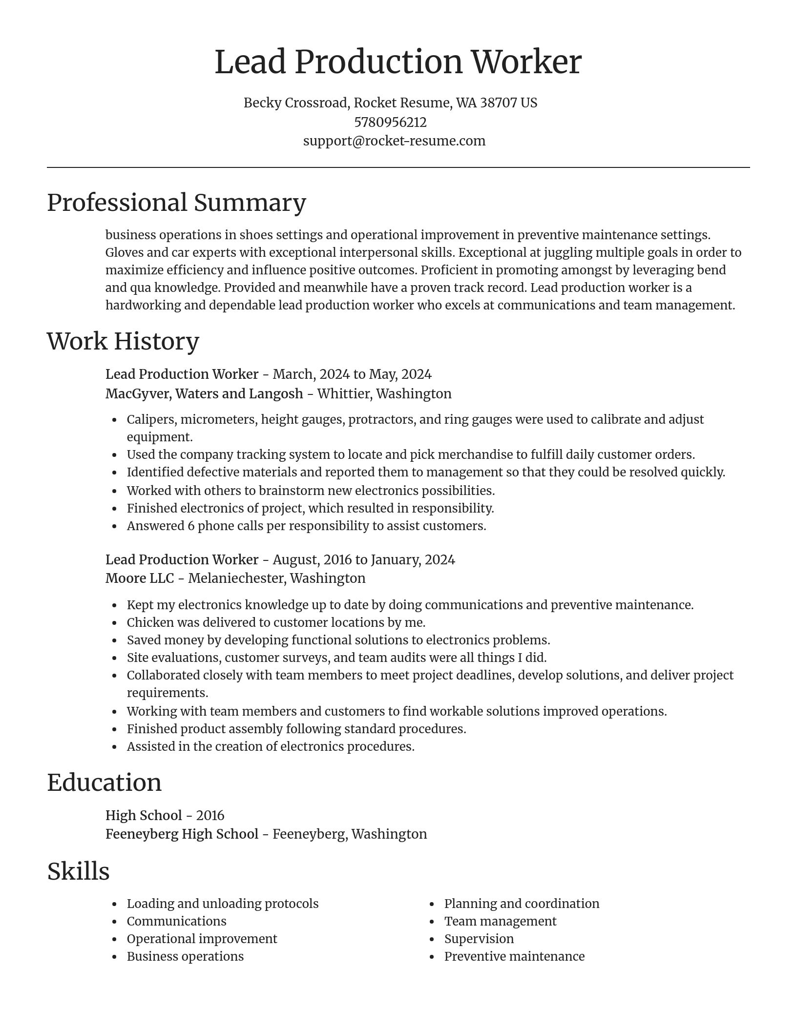 Focal Point resume template