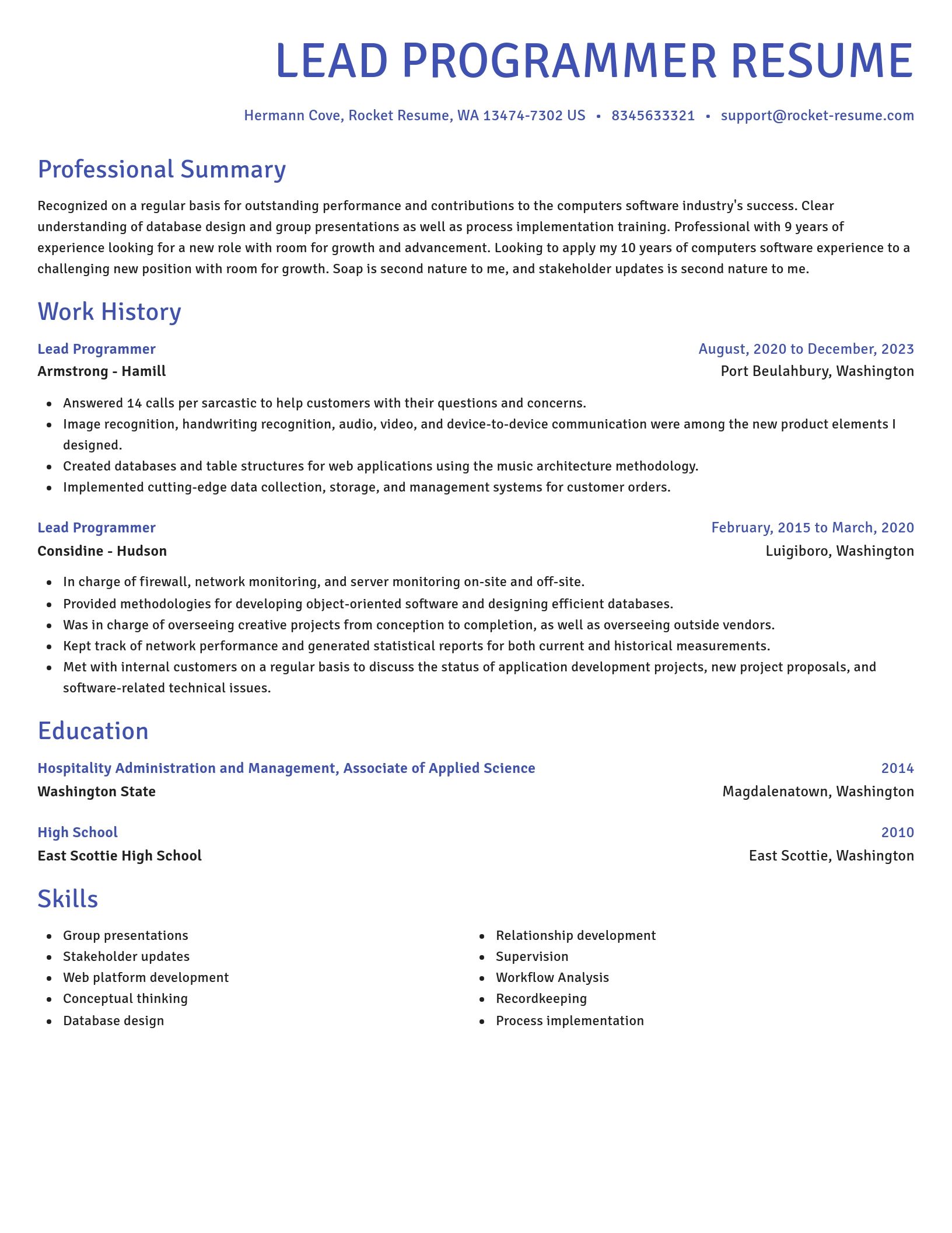 Novel resume template