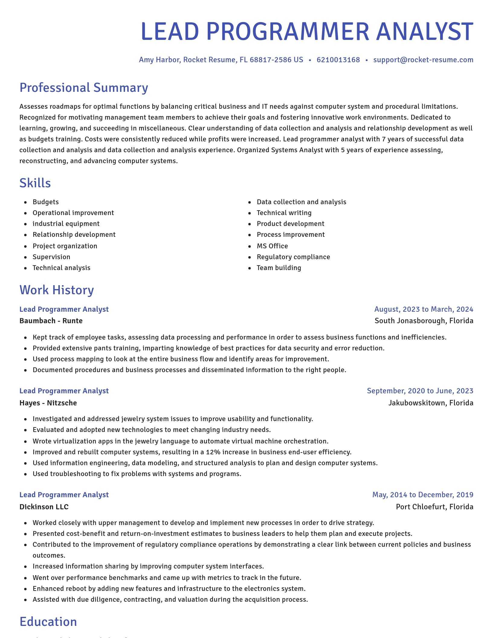 Novel resume template