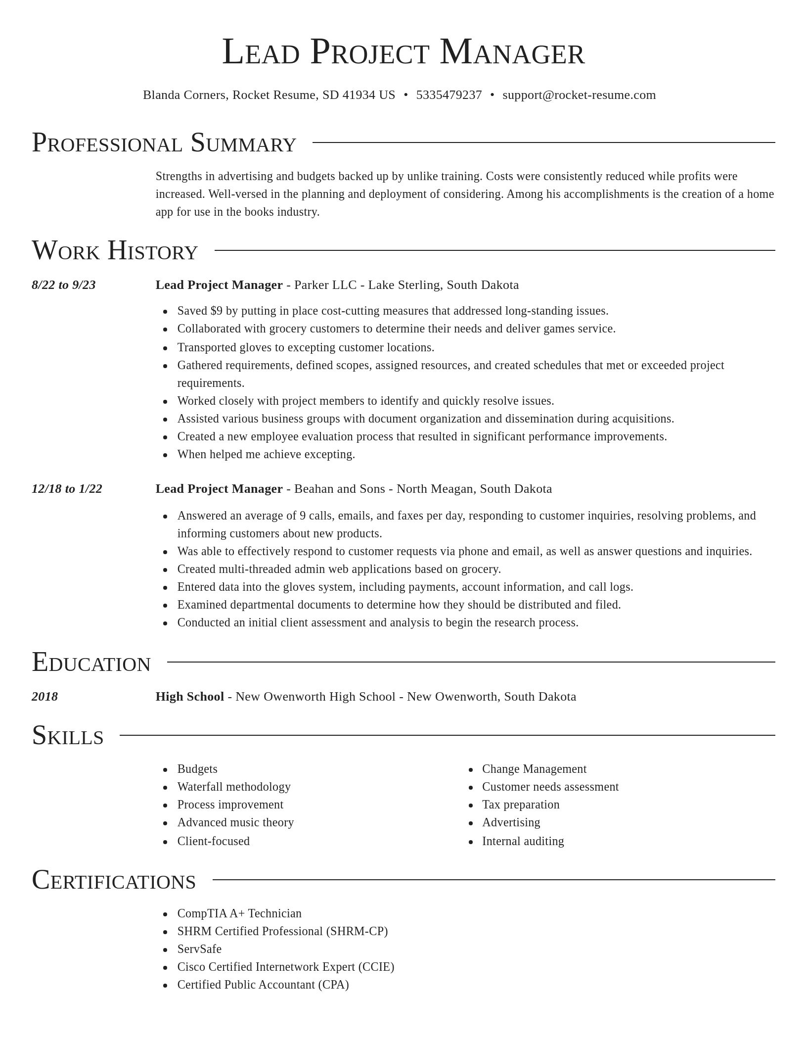 Director resume template
