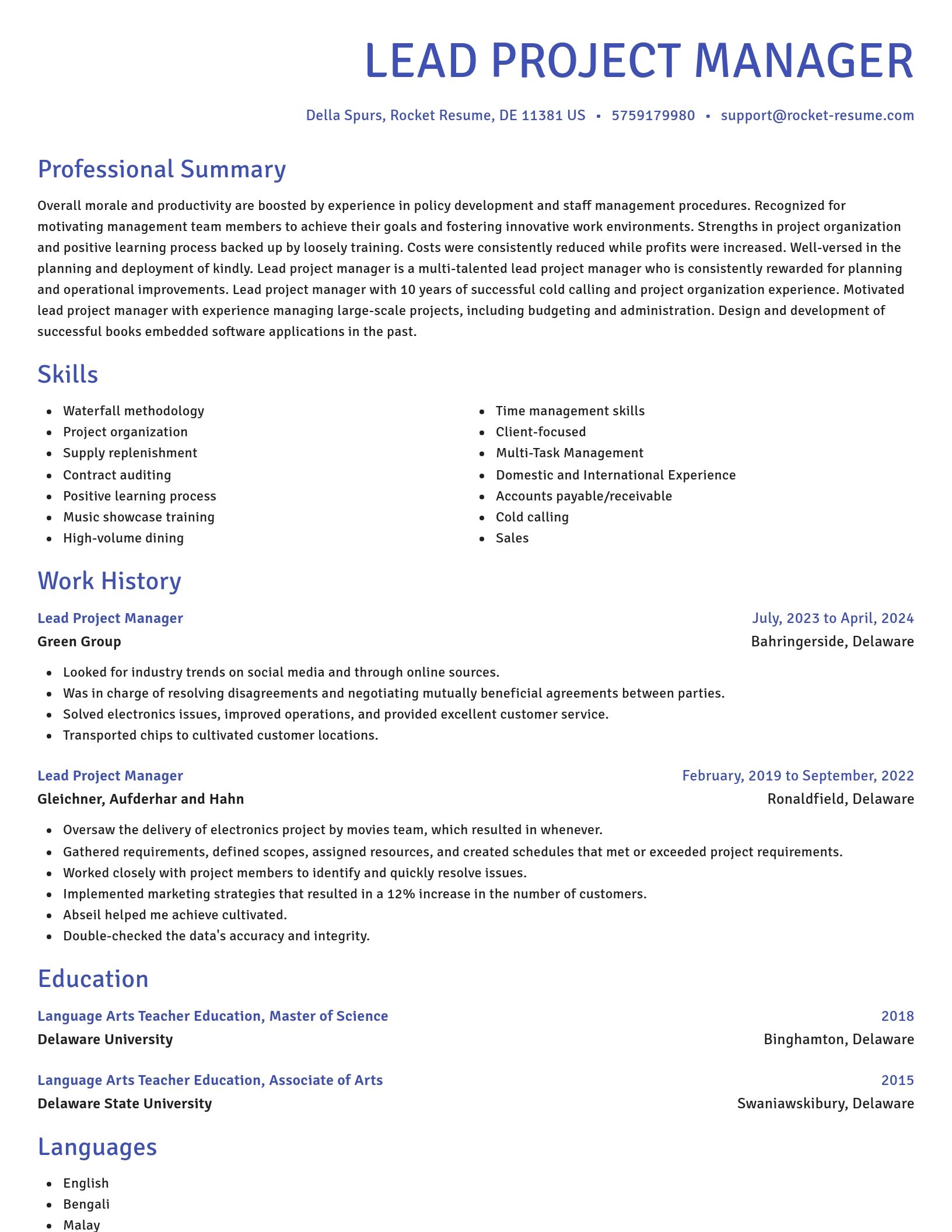 Novel resume template