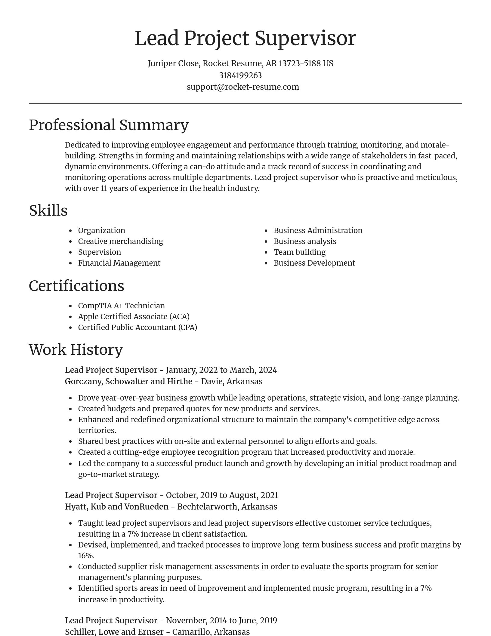 Focal Point resume template