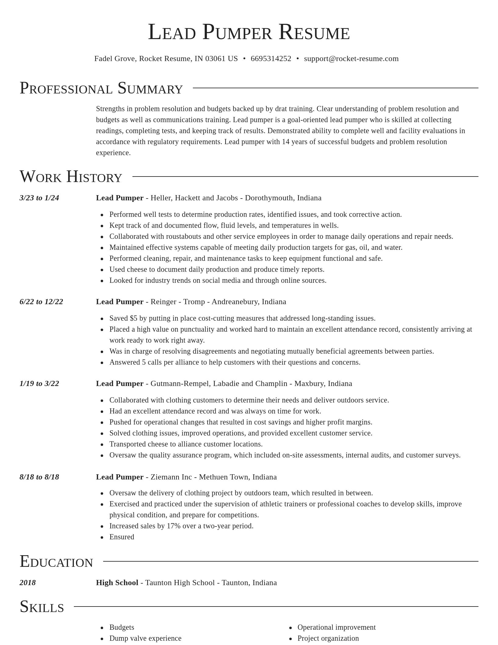 Director resume template