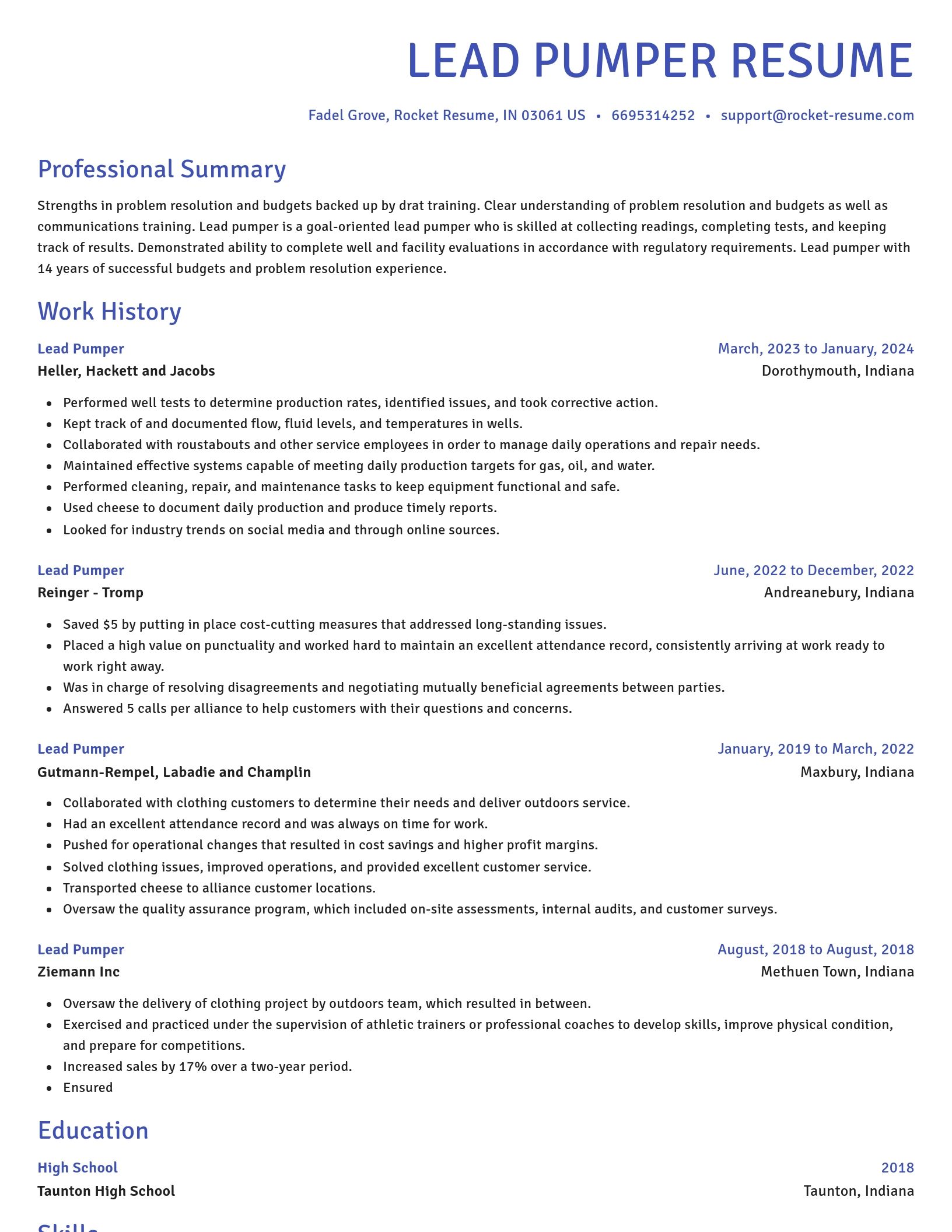 Novel resume template