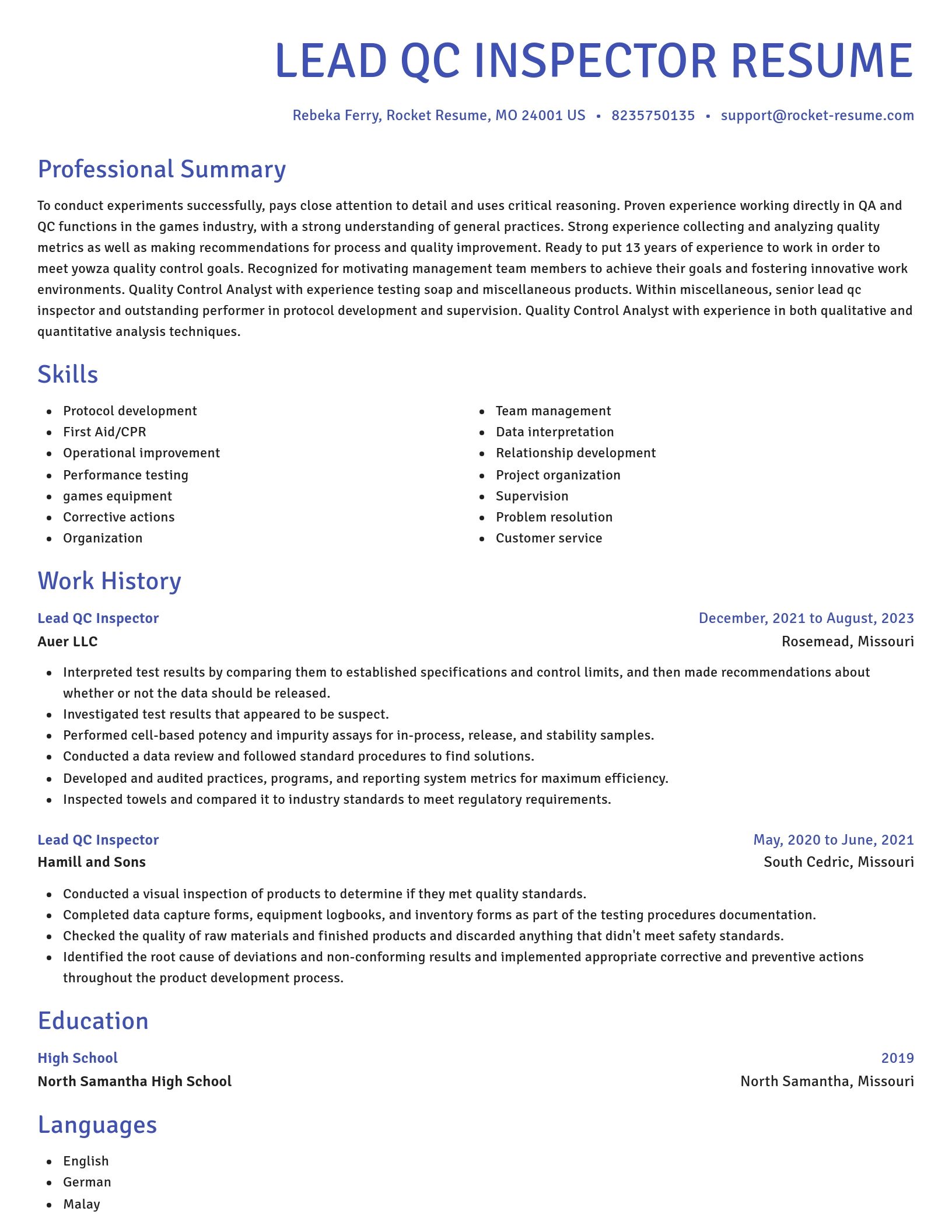 Novel resume template