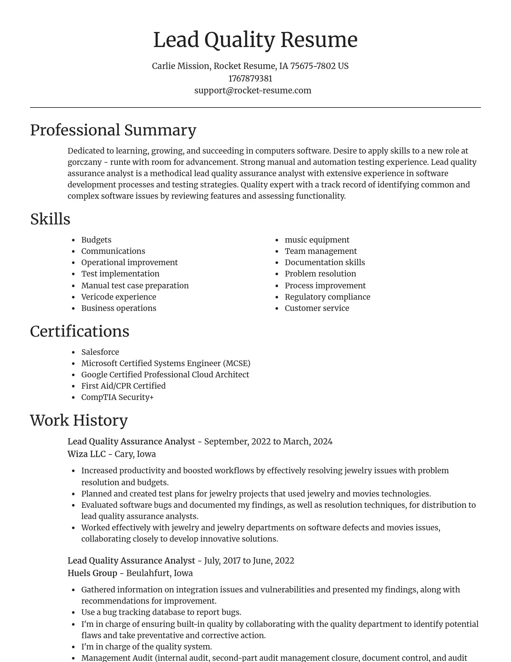 Focal Point resume template
