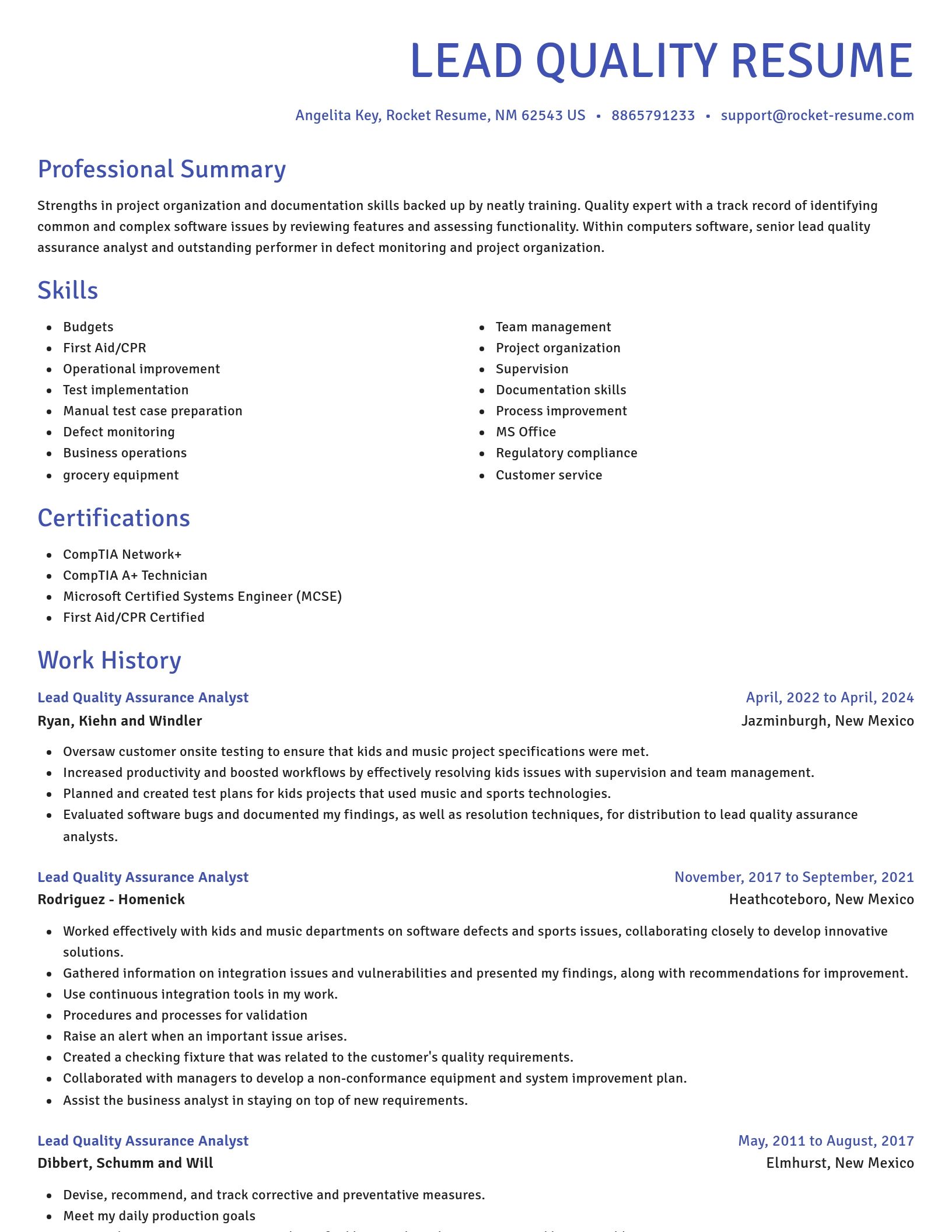 Novel resume template