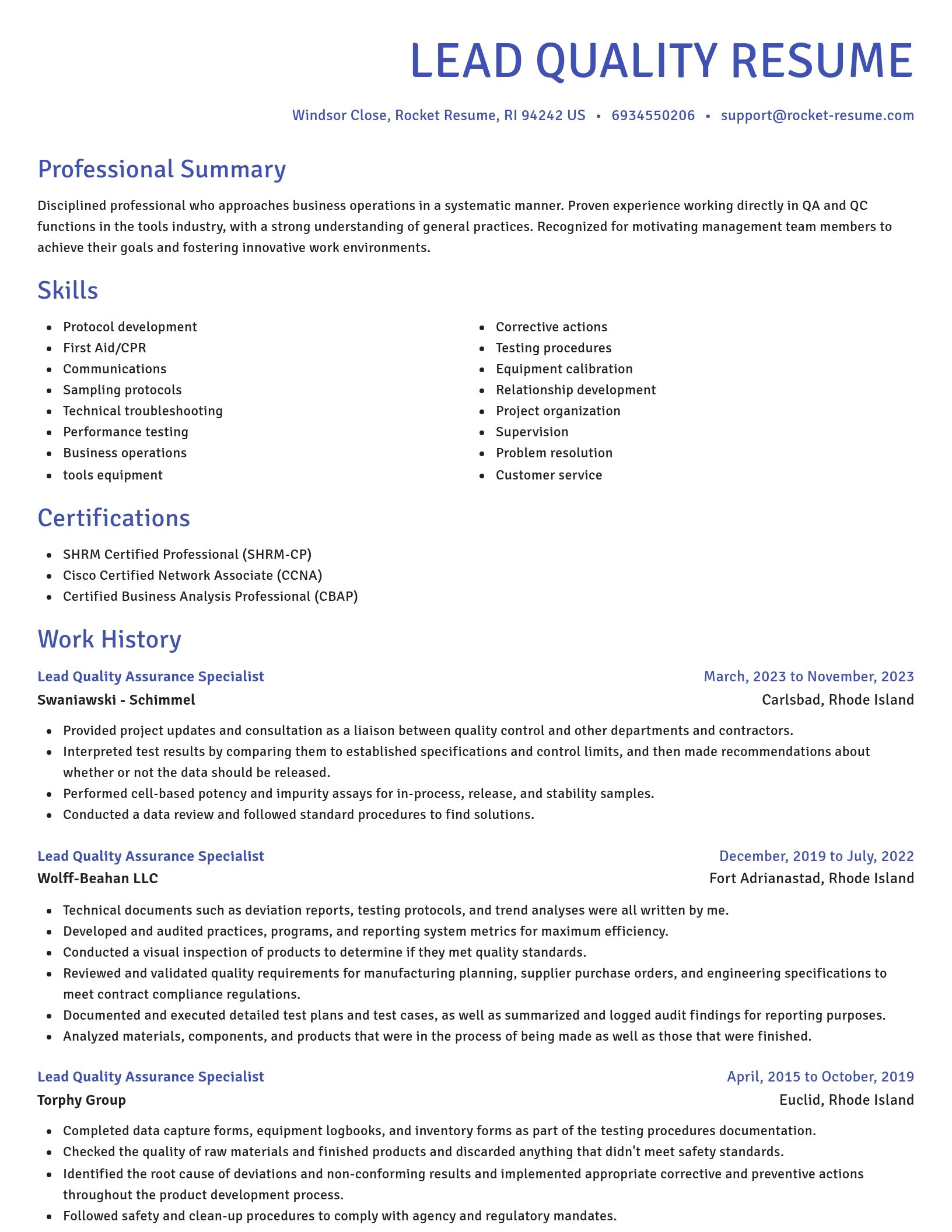 Novel resume template