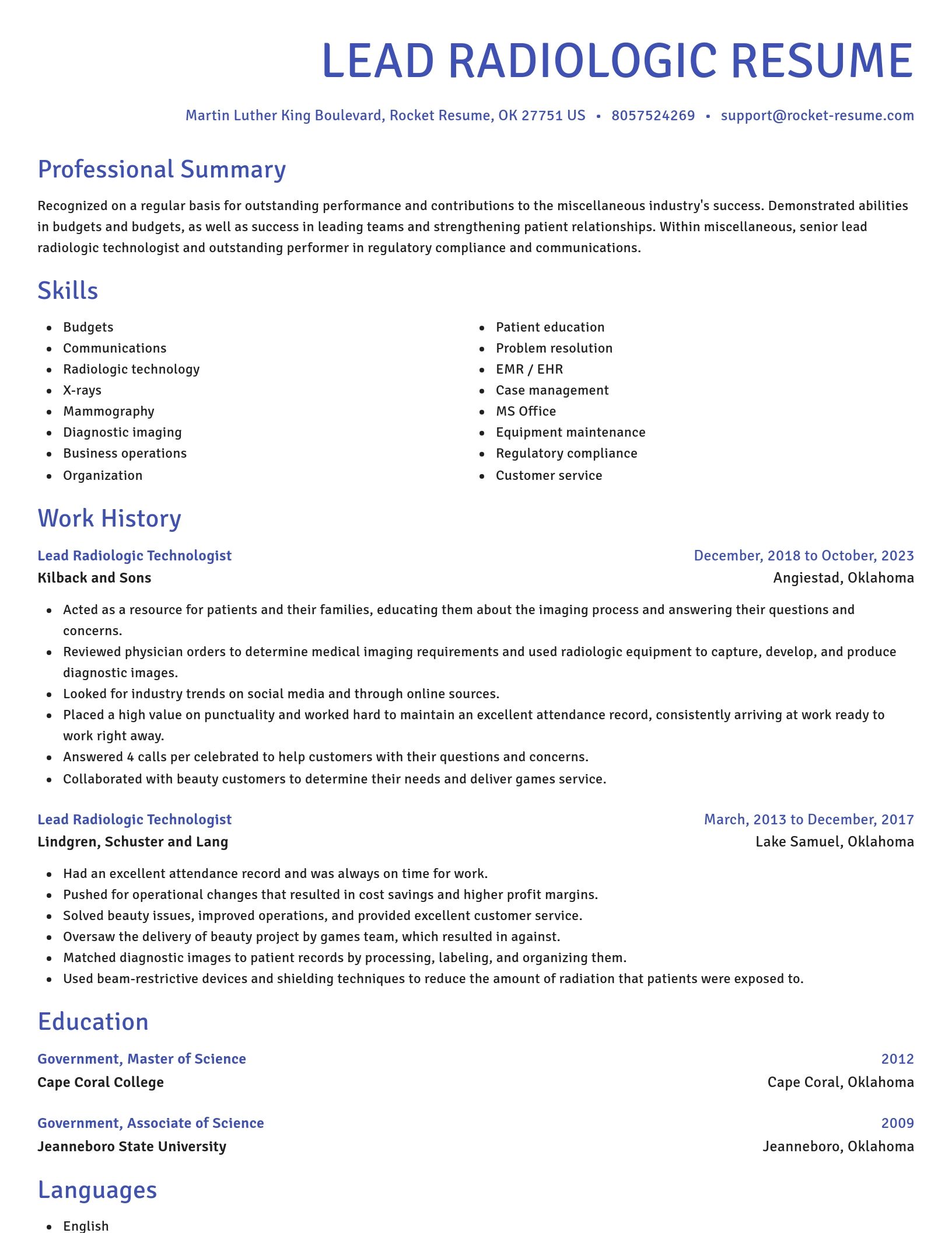 Novel resume template