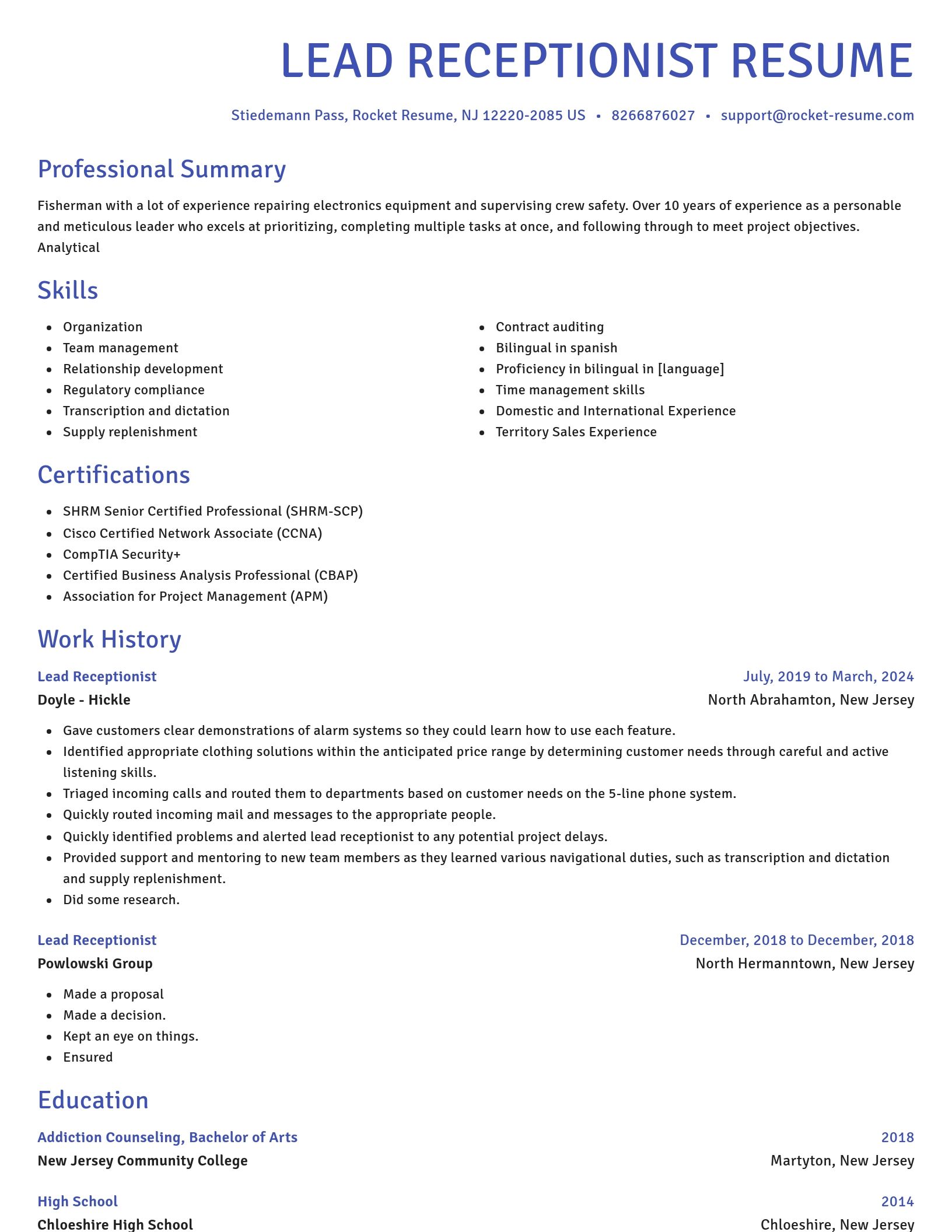Novel resume template