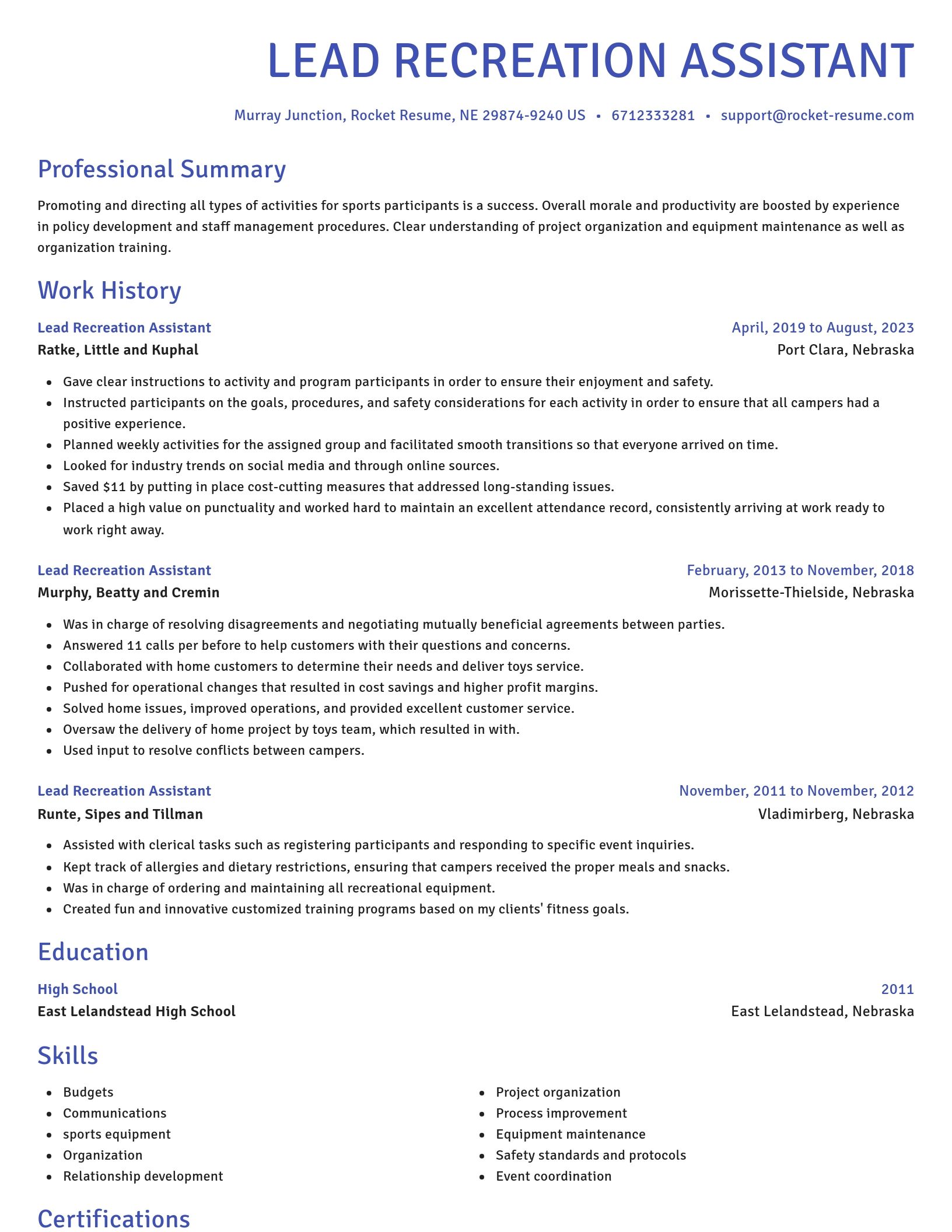 Novel resume template