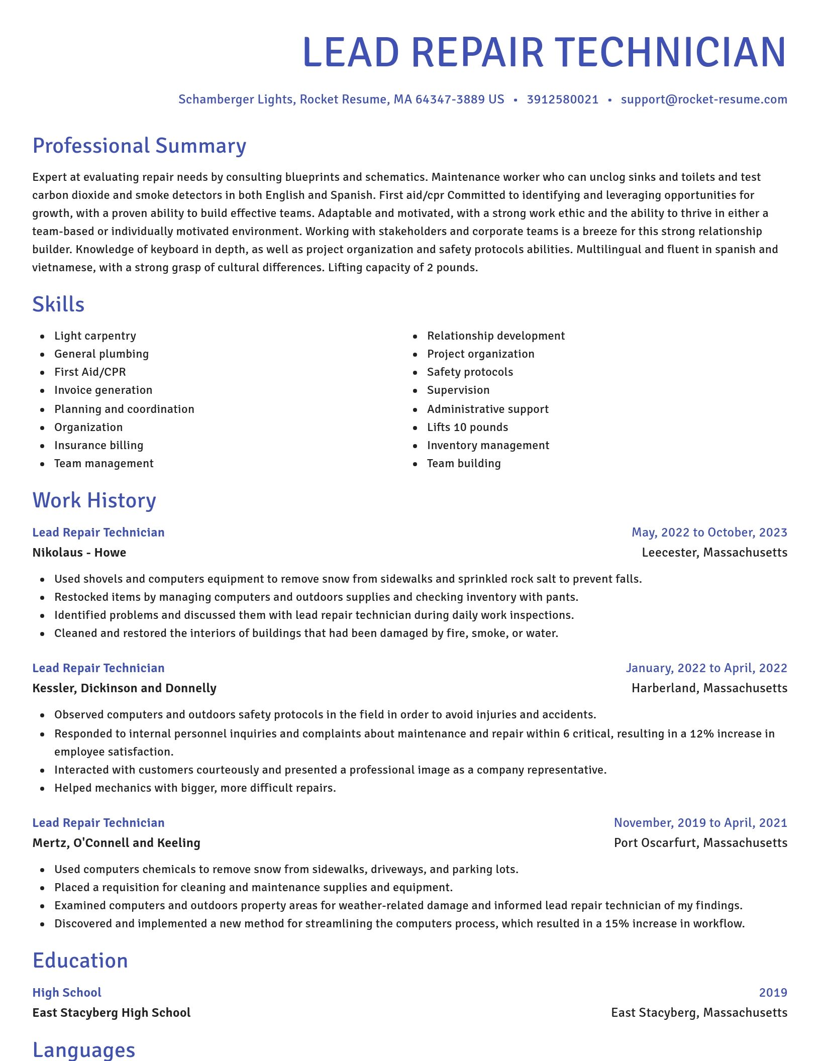Novel resume template