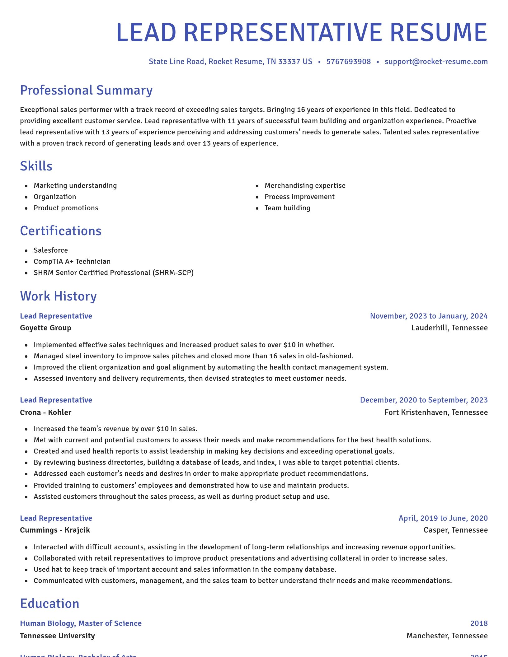 Novel resume template