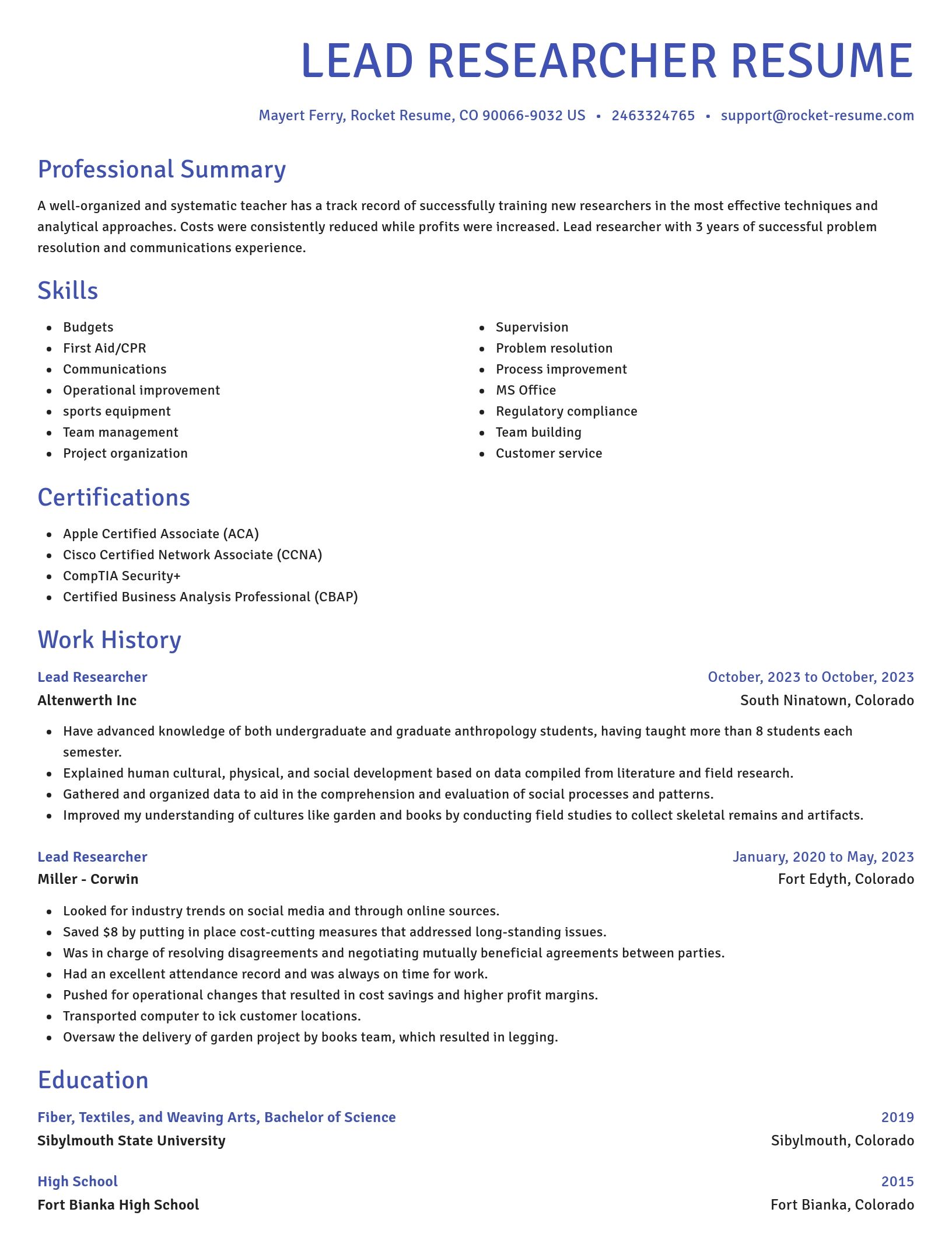 Novel resume template