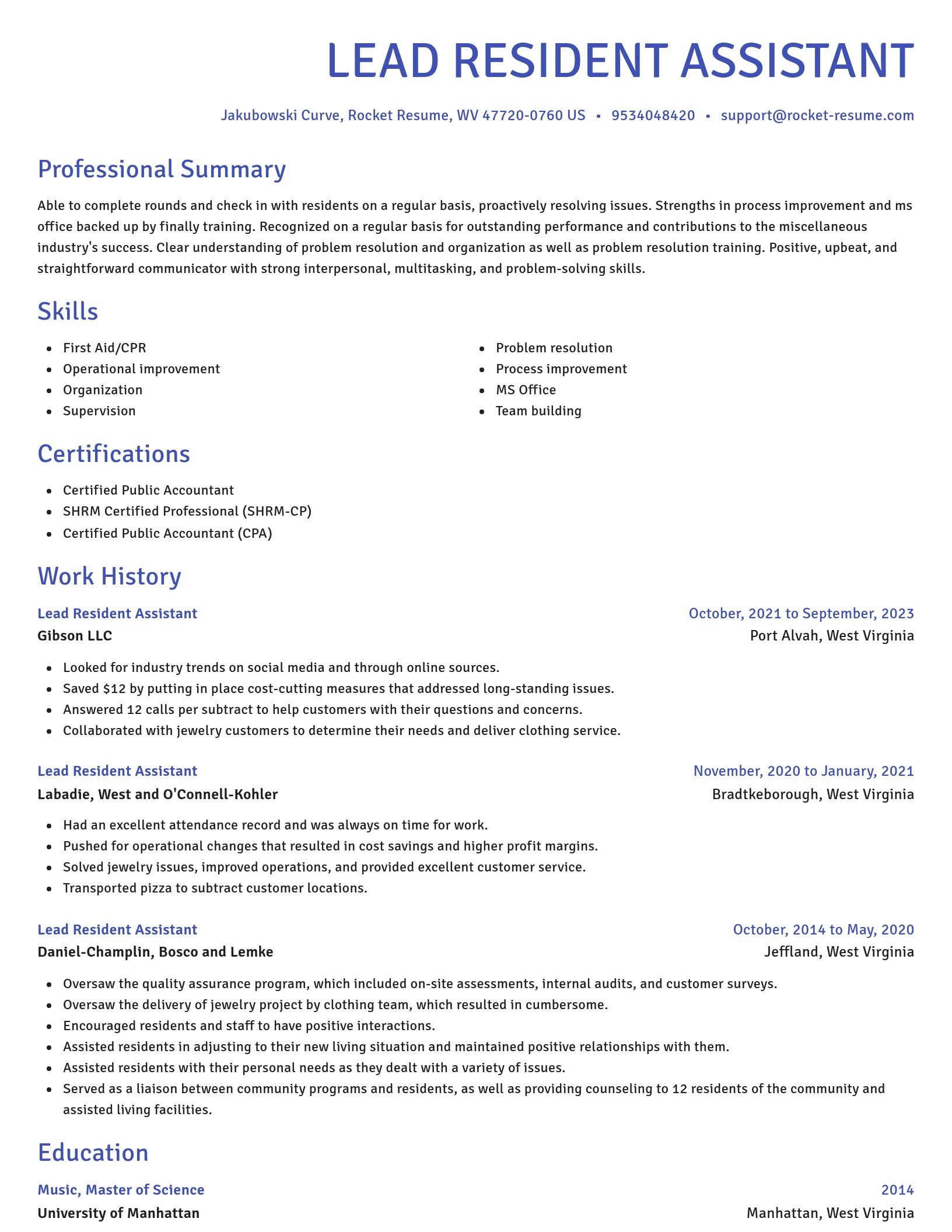 Novel resume template