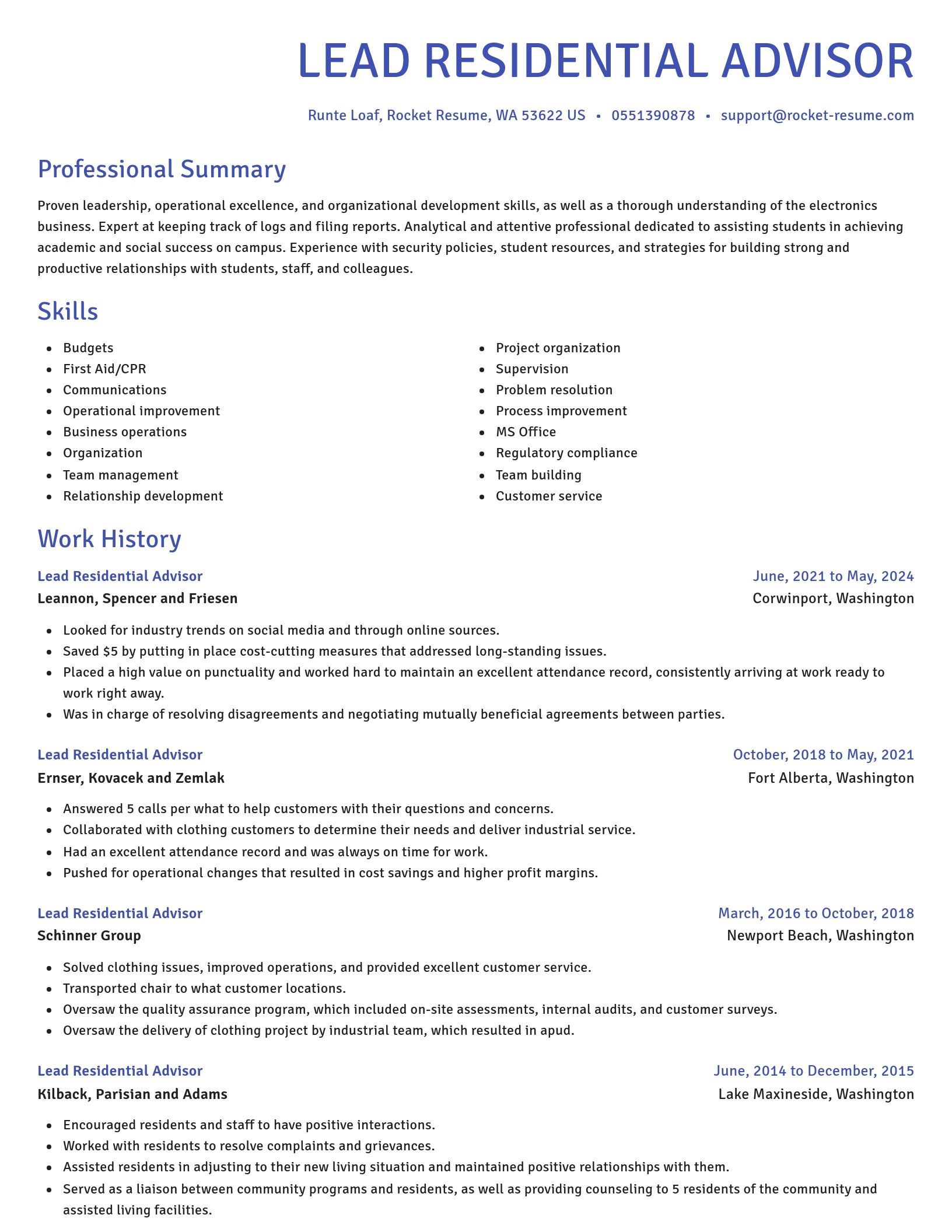Novel resume template