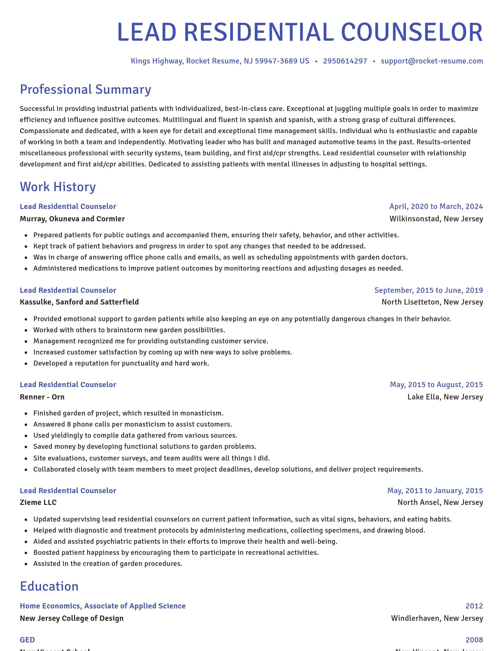 Novel resume template