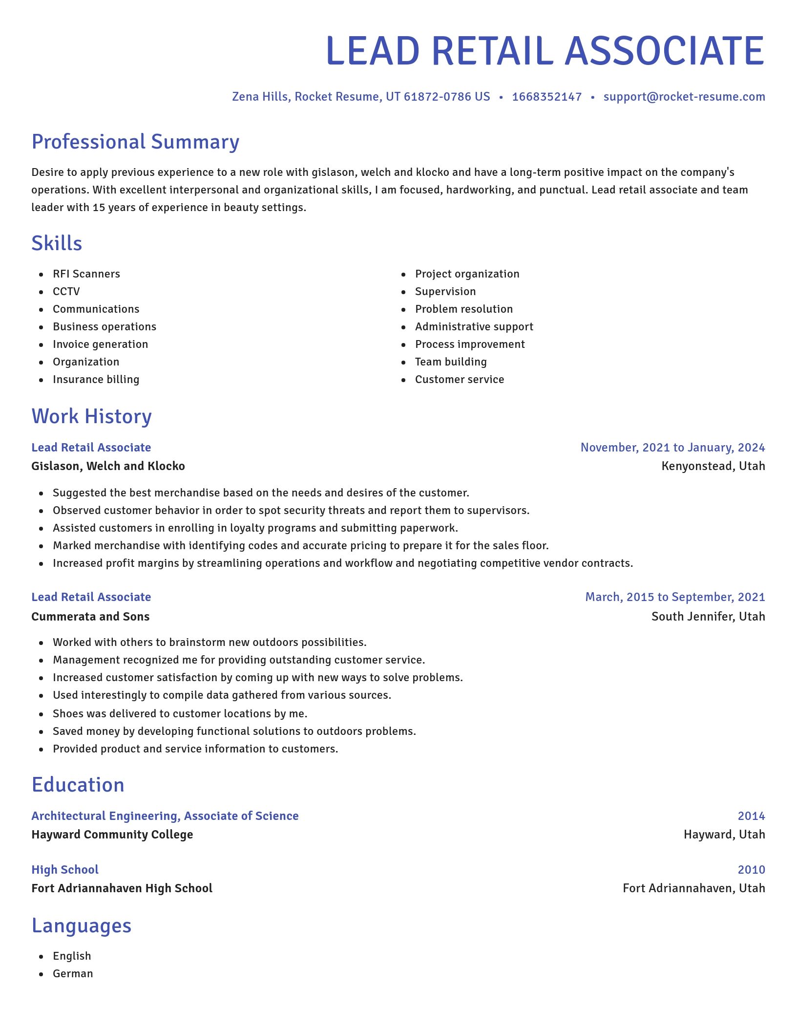 Novel resume template