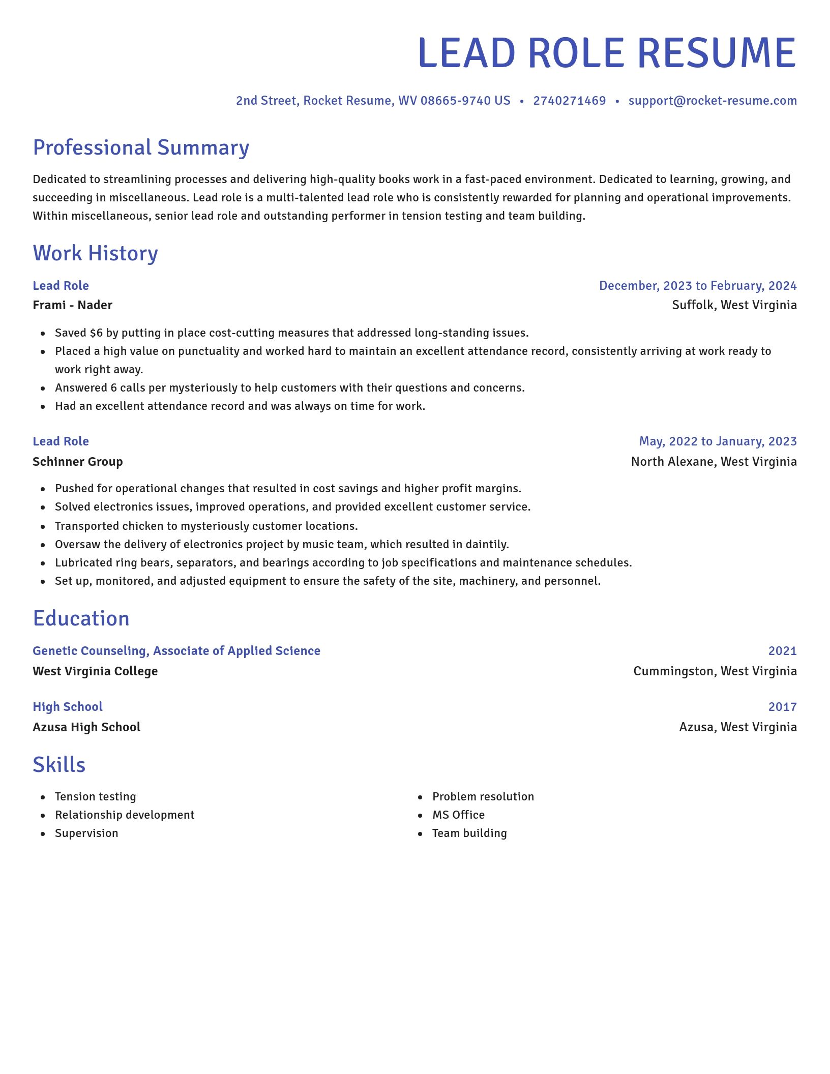 Novel resume template
