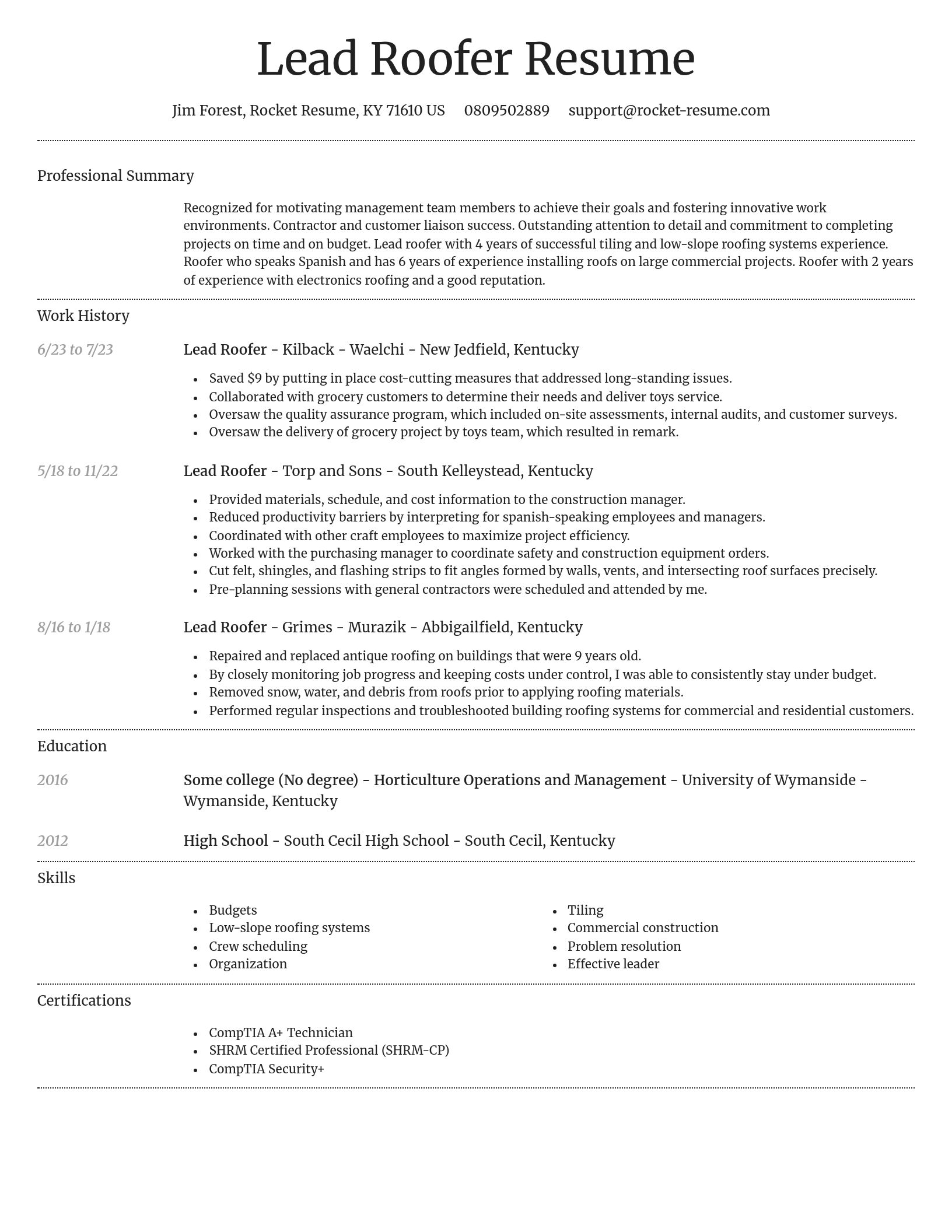 Dignified resume template