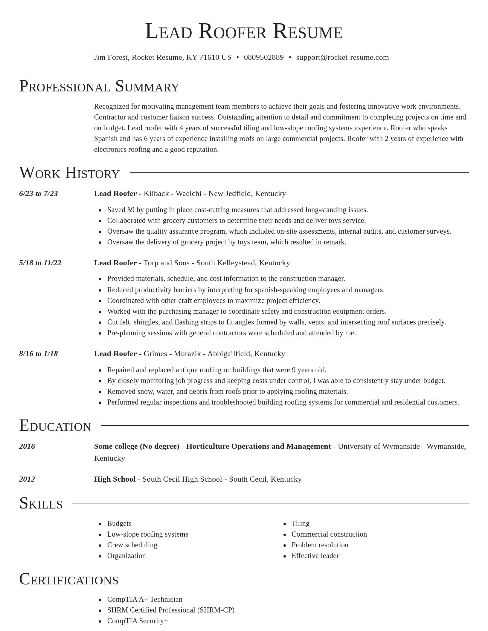 Director resume template