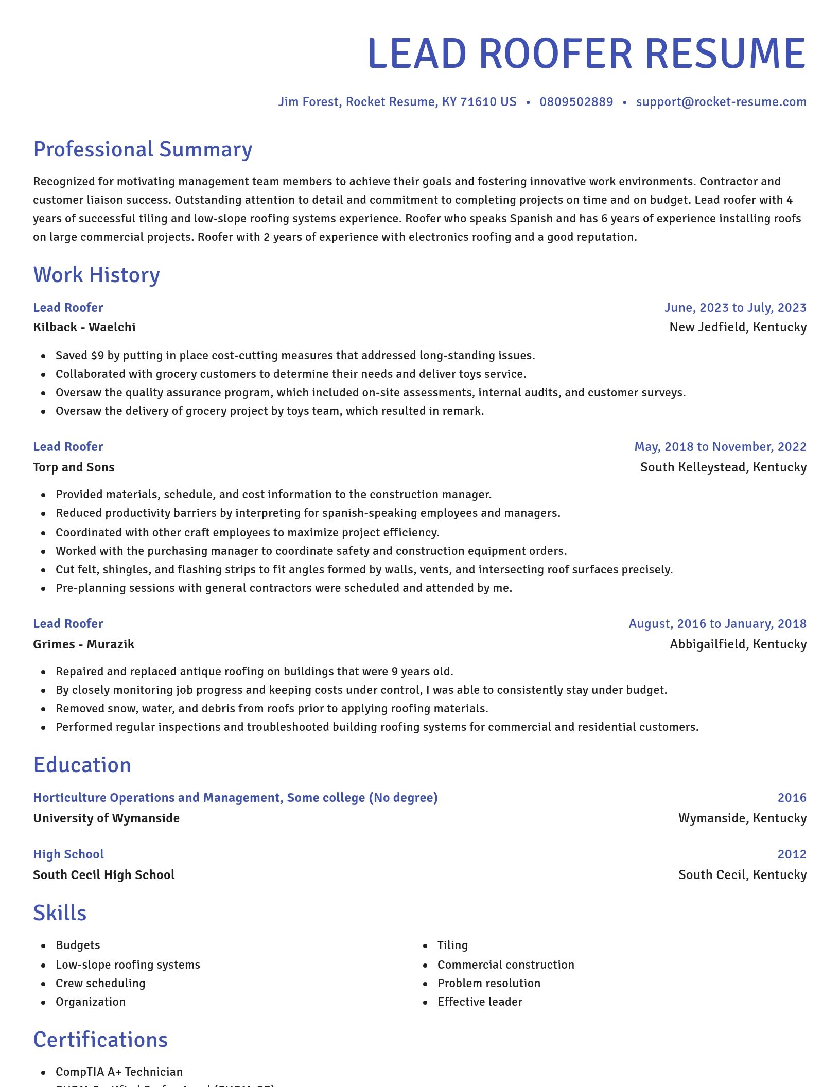 Novel resume template