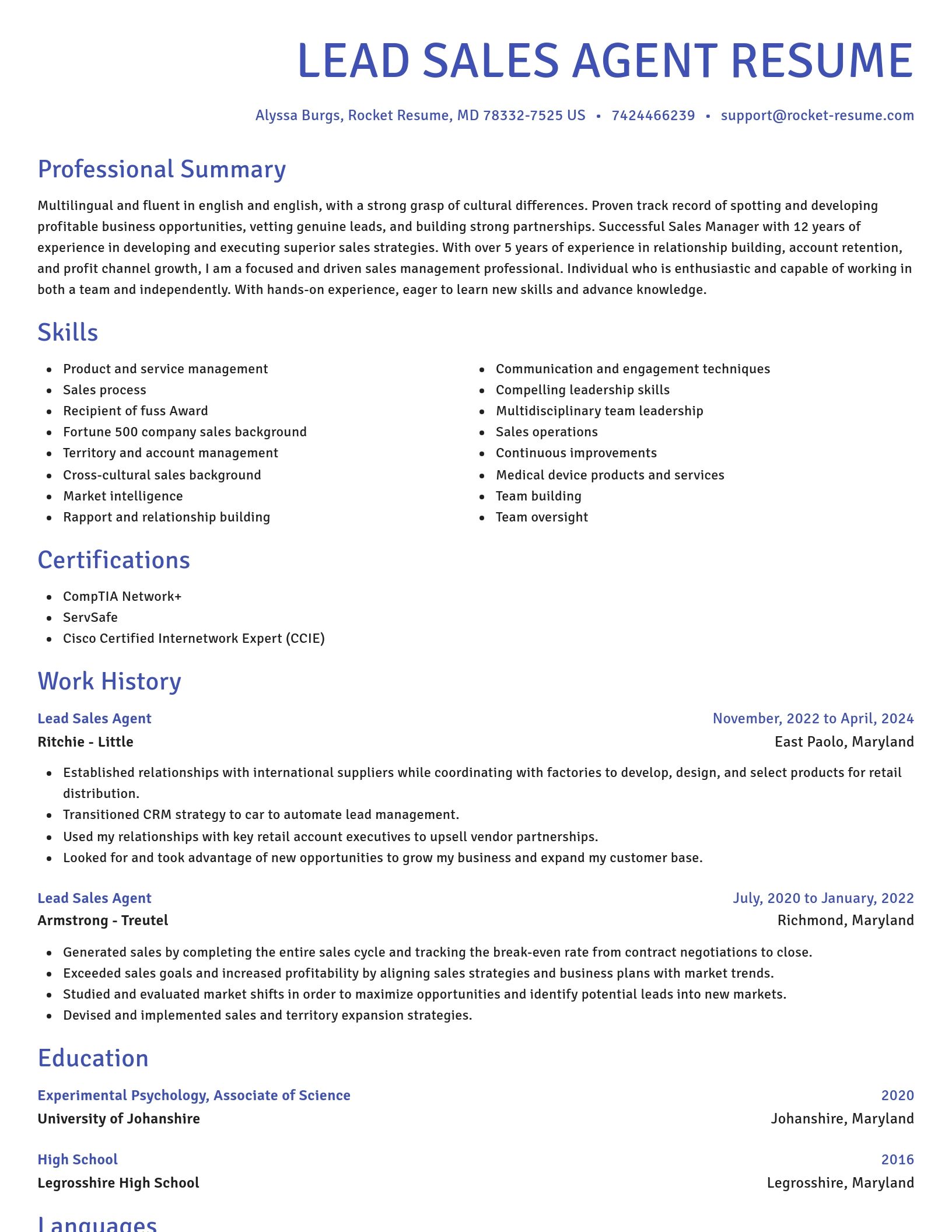 Novel resume template