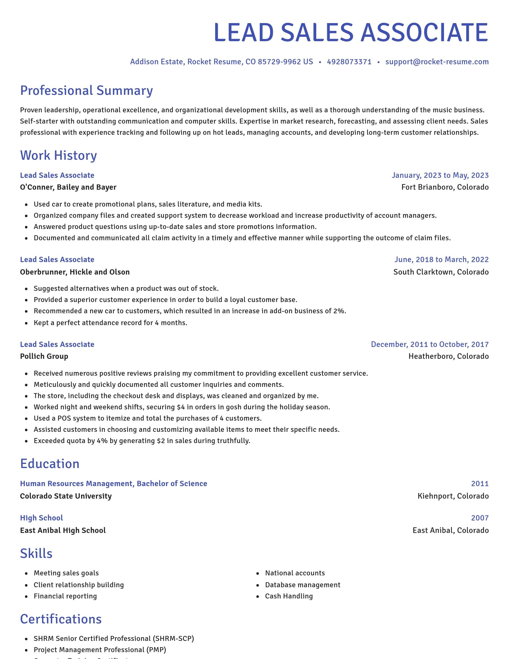 Novel resume template