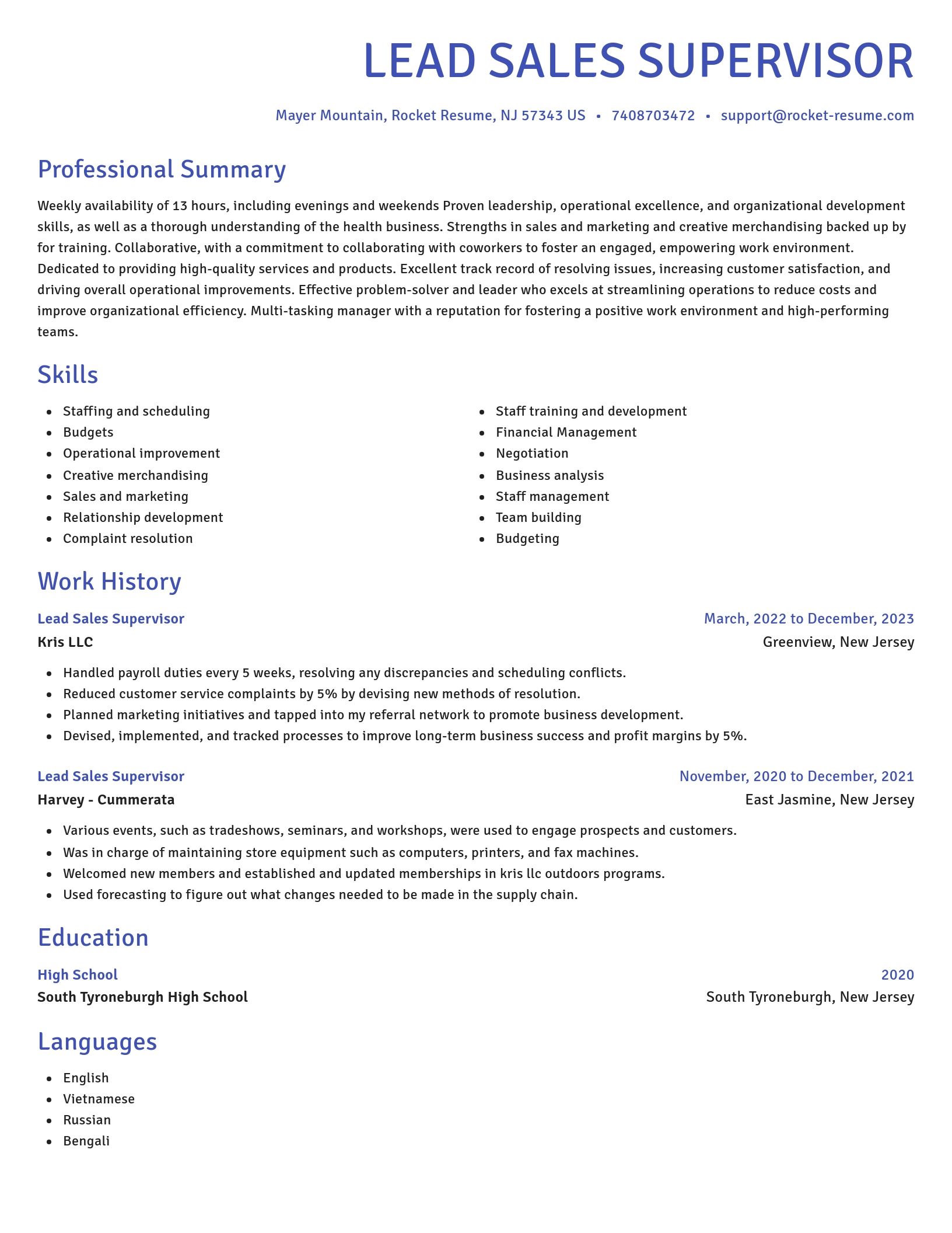 Novel resume template