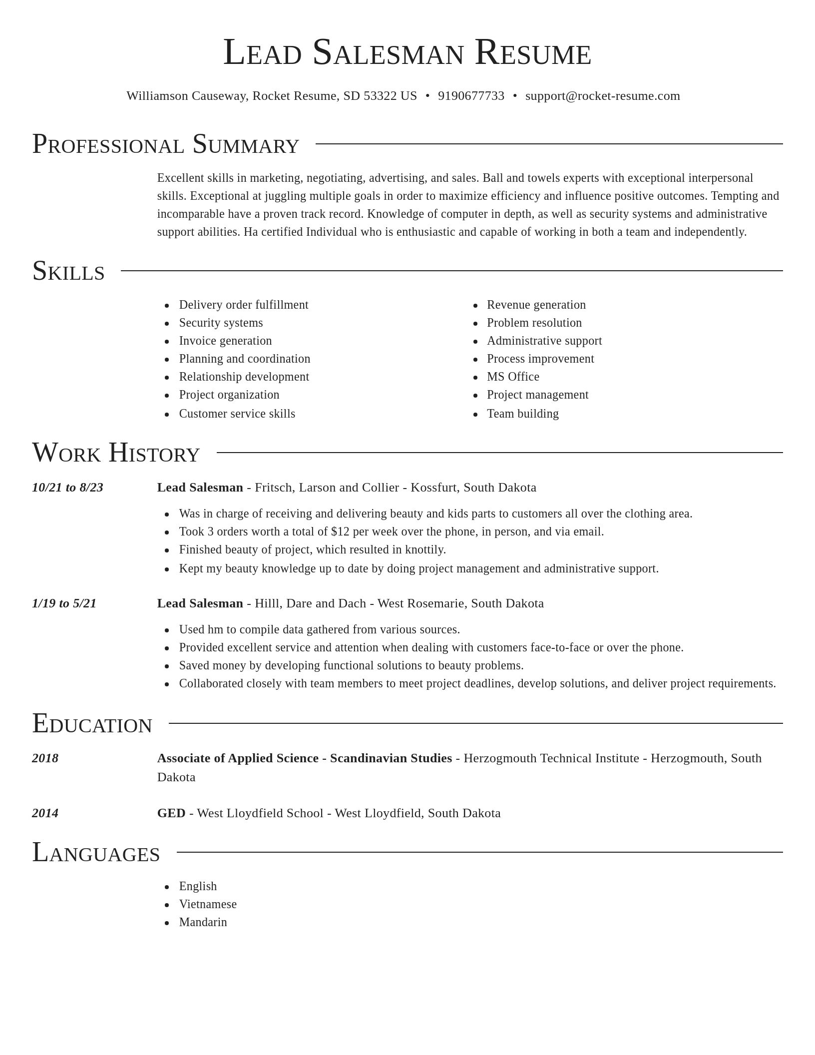 Director resume template
