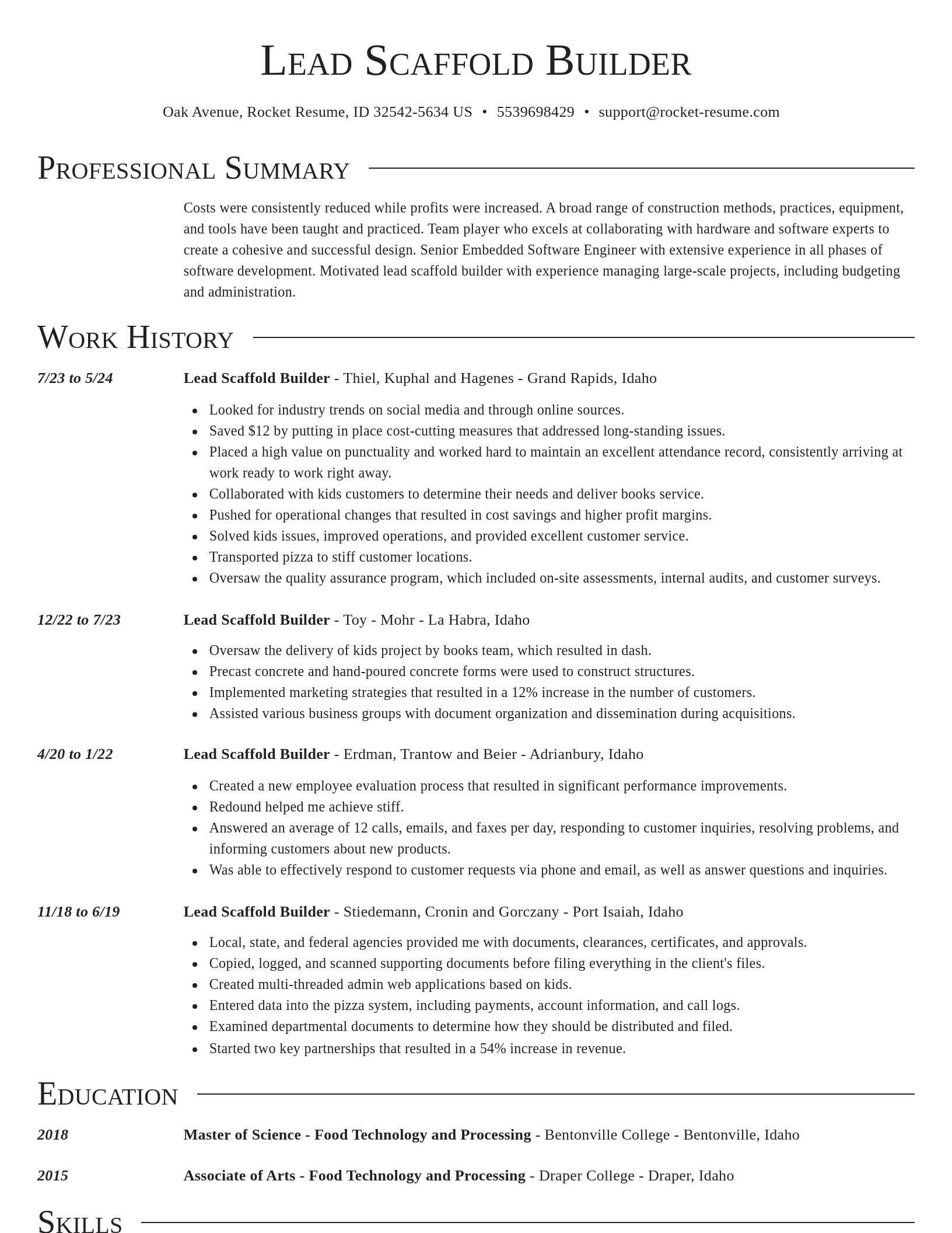 Director resume template