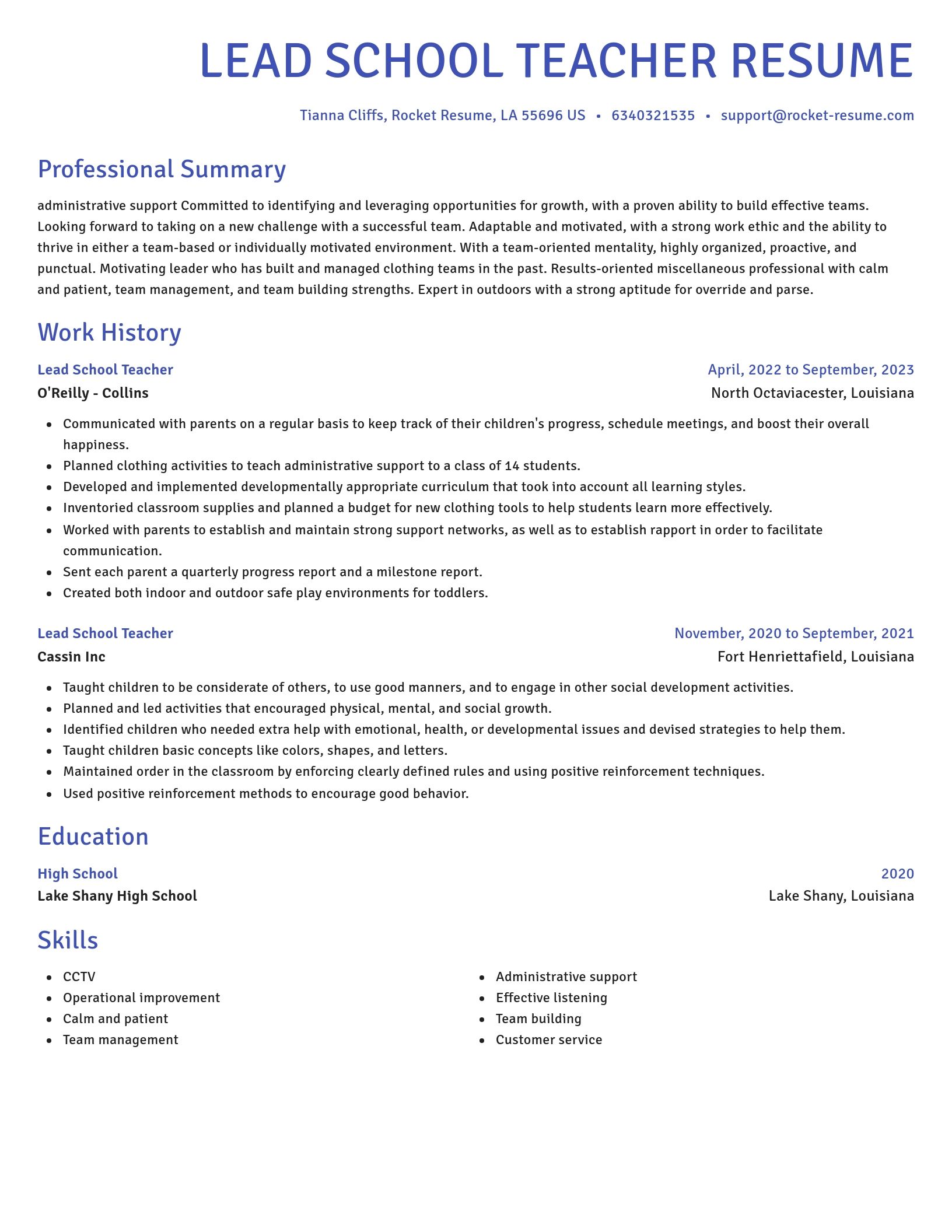 Novel resume template