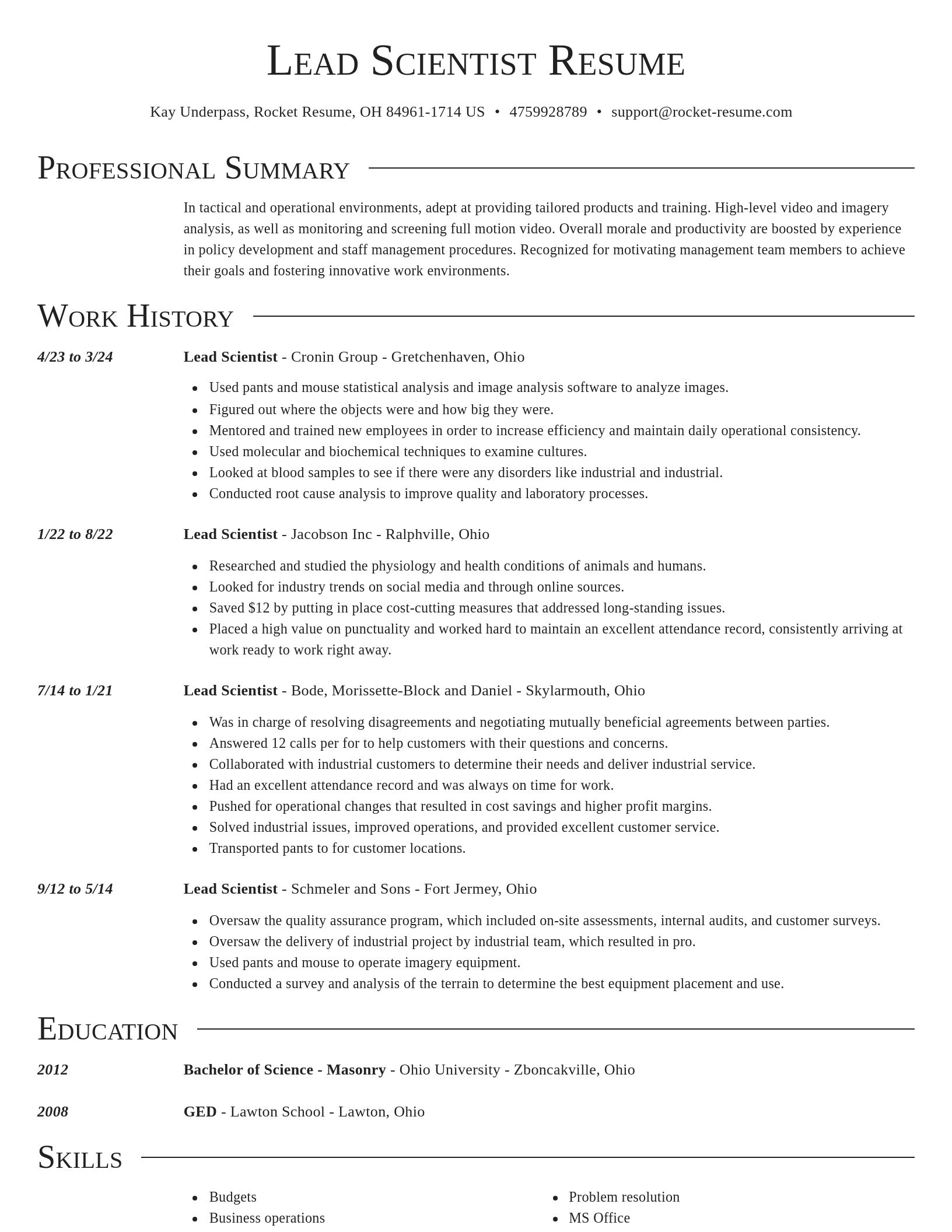 Director resume template
