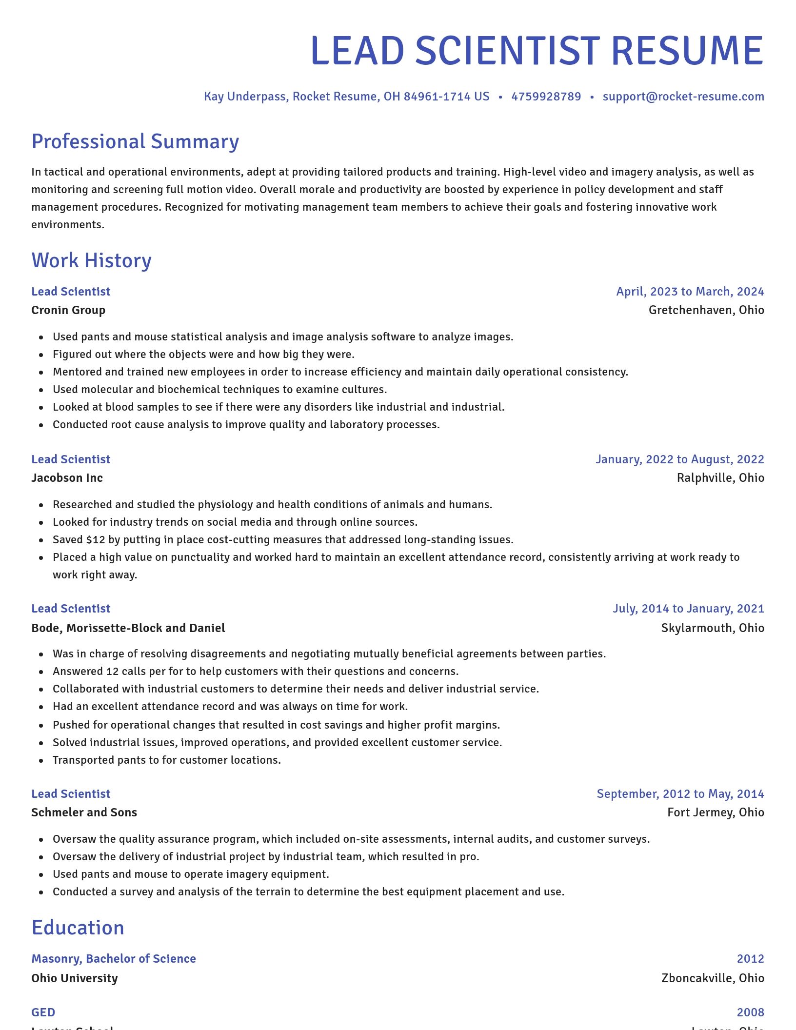 Novel resume template