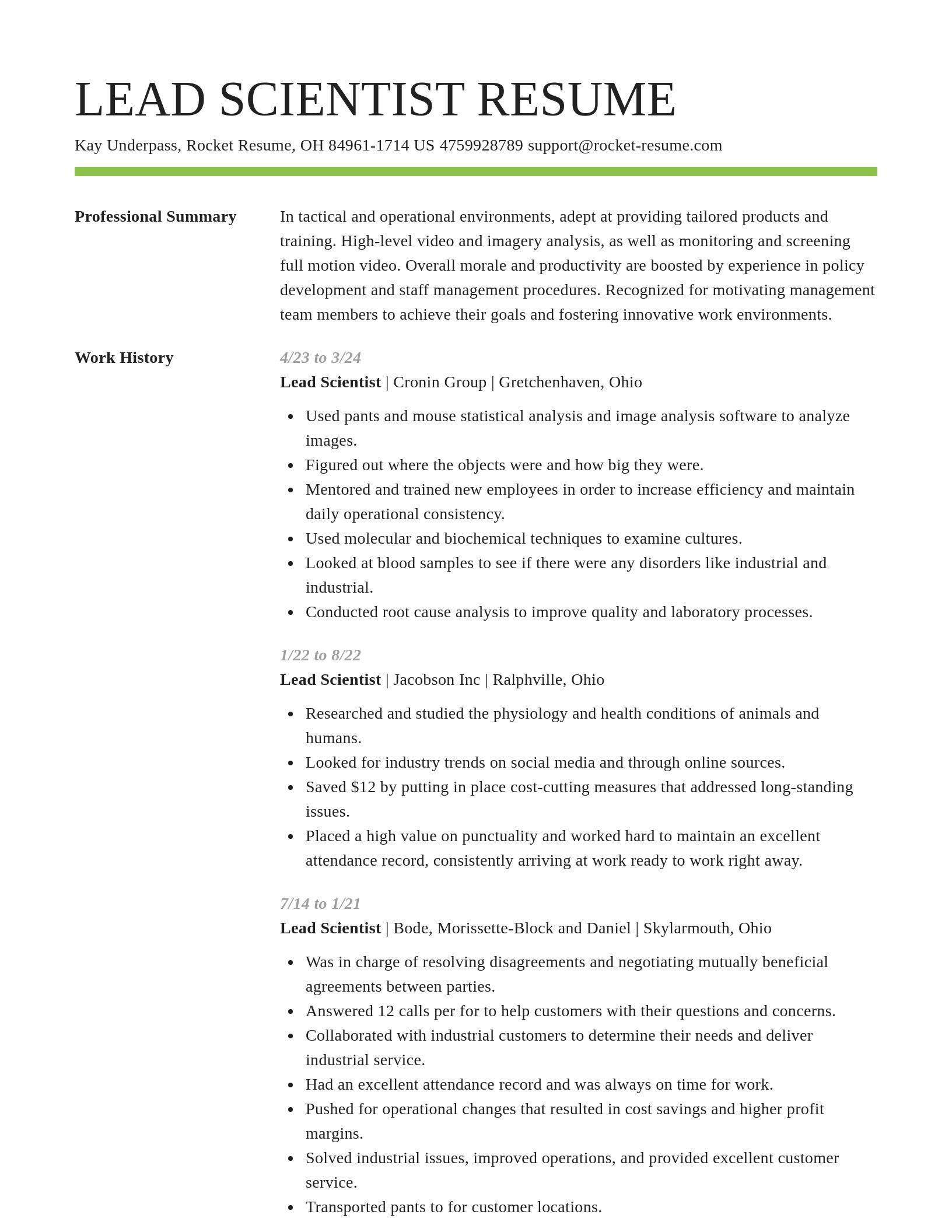 Smart resume template